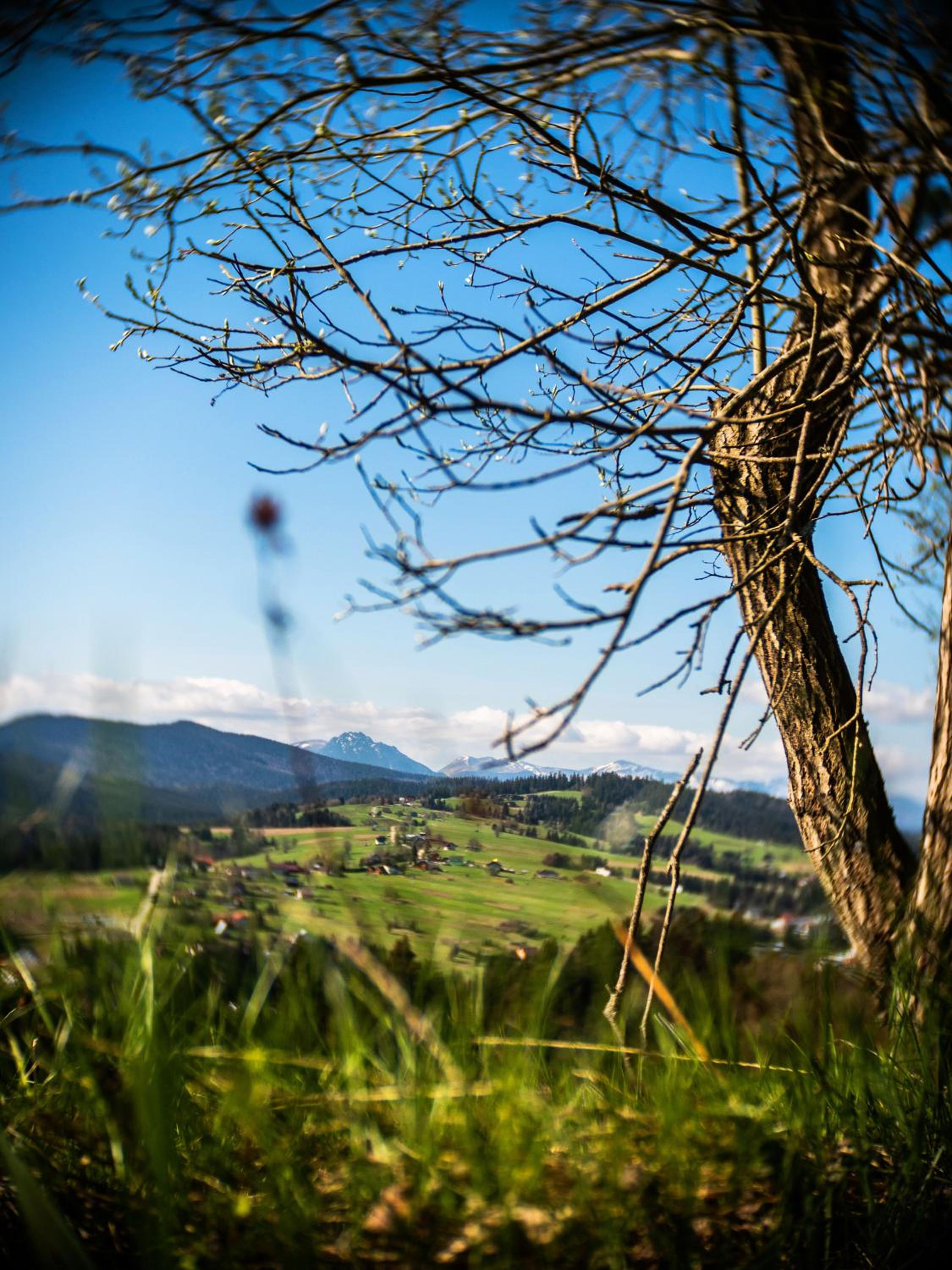 Chalety BUČINA