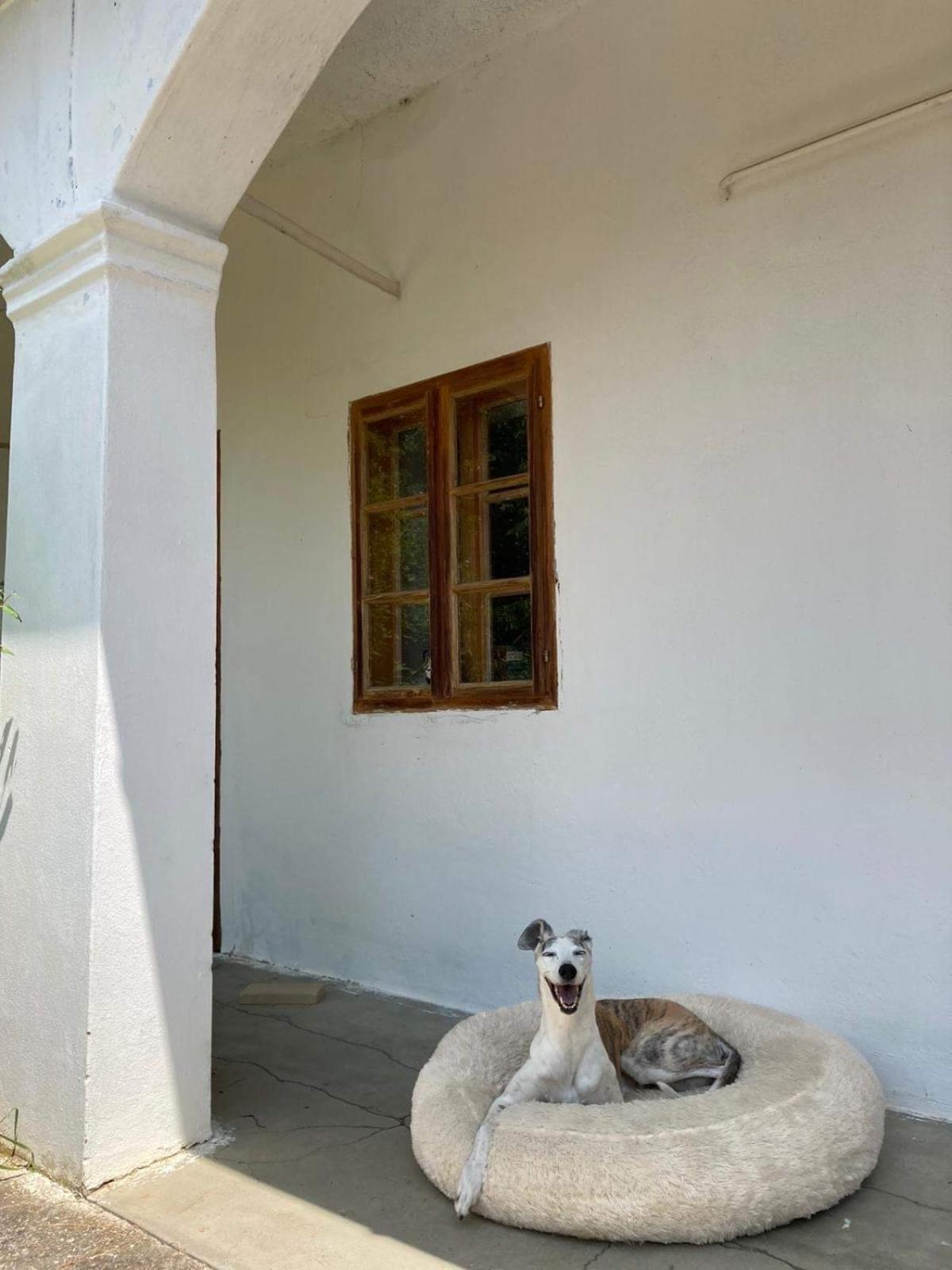 Charmantes Arkadenhaus mit großem Garten