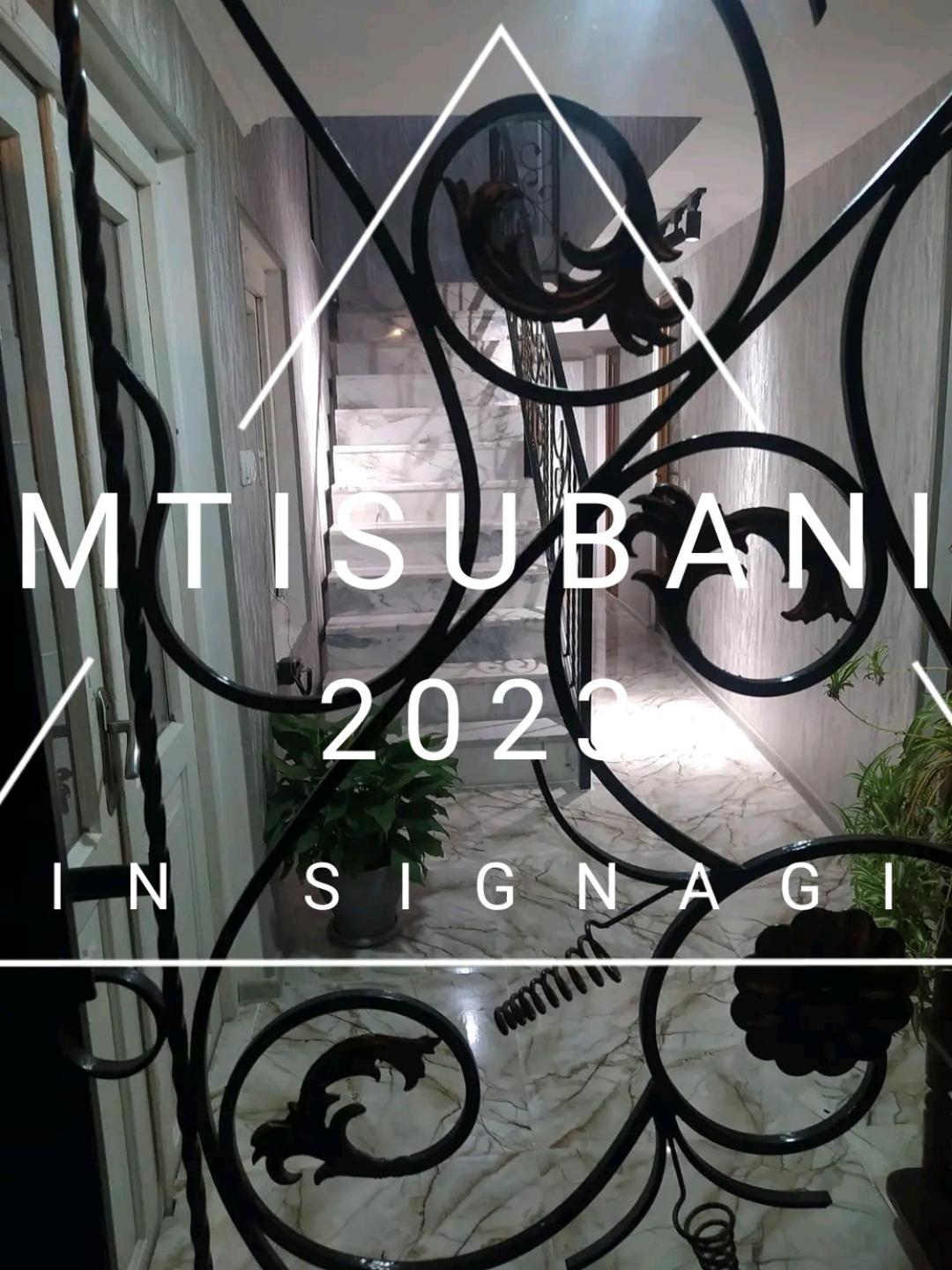 Guest House "Mtisubani" view 2
