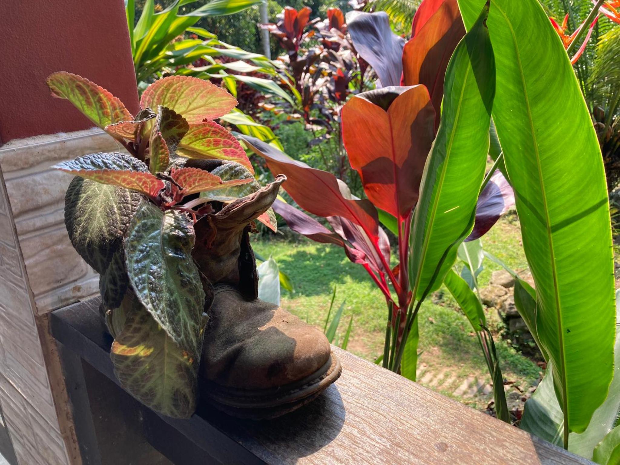 Casa Araribá - Ilha Grande - Vila do Abraão