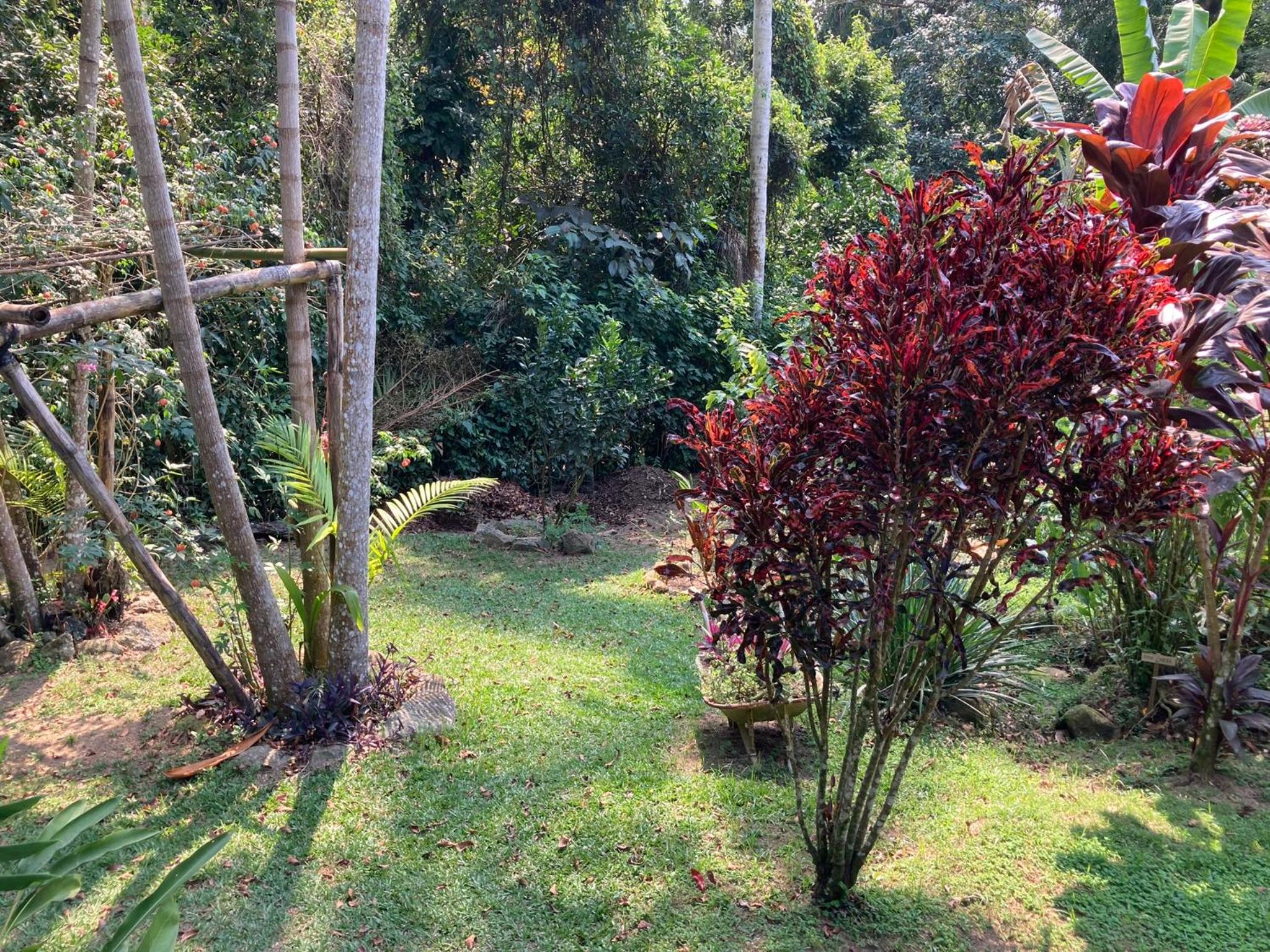 Casa Araribá - Ilha Grande - Vila do Abraão