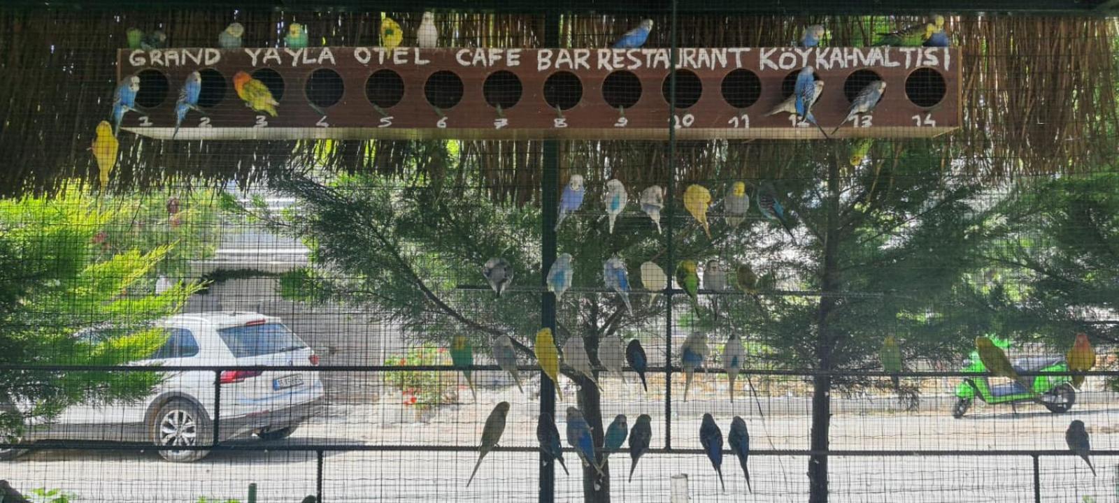 Grand Yayla Hotel - Image 31