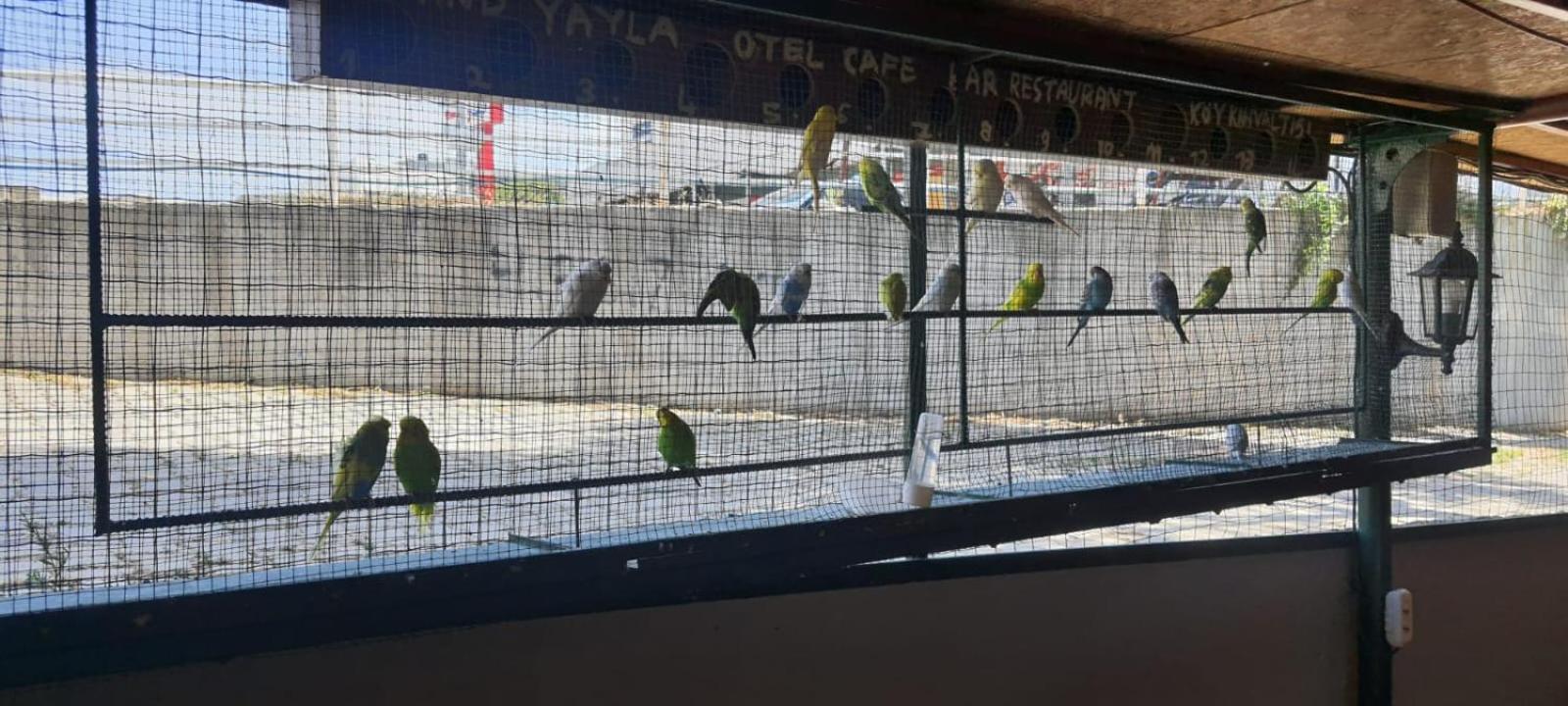 Grand Yayla Hotel - Image 33