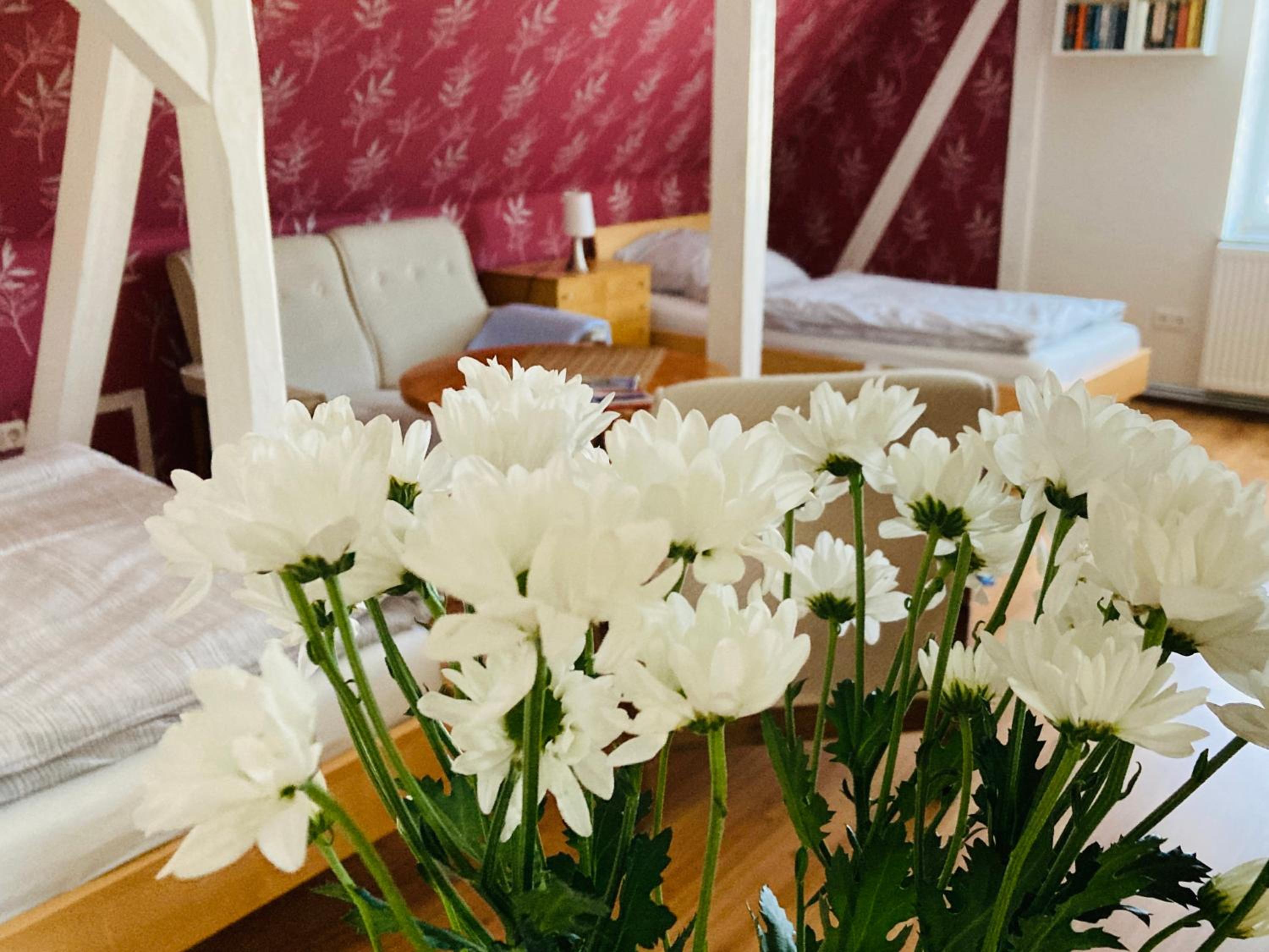 Ferienwohnung Warnowidyll