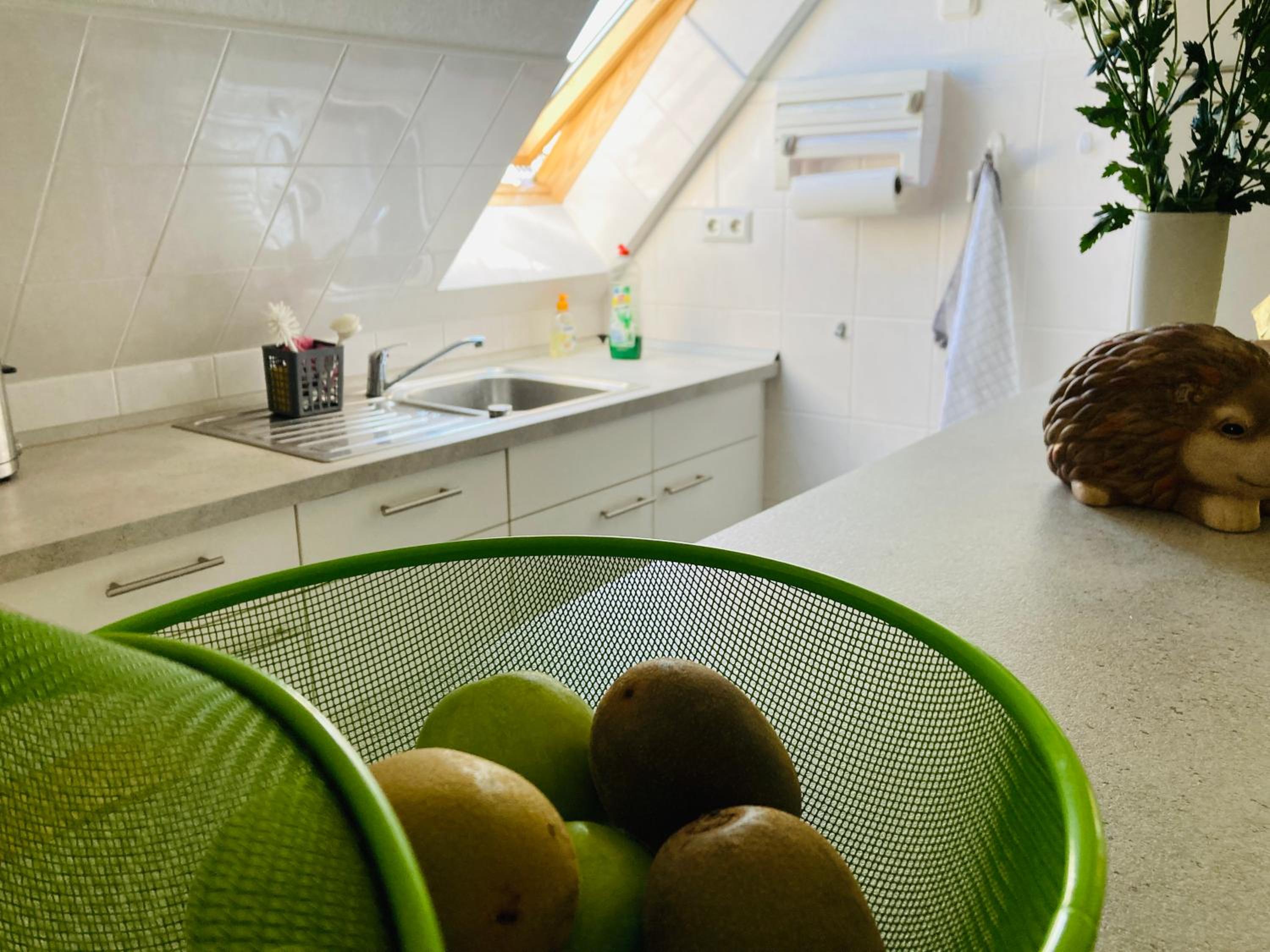 Ferienwohnung Warnowidyll