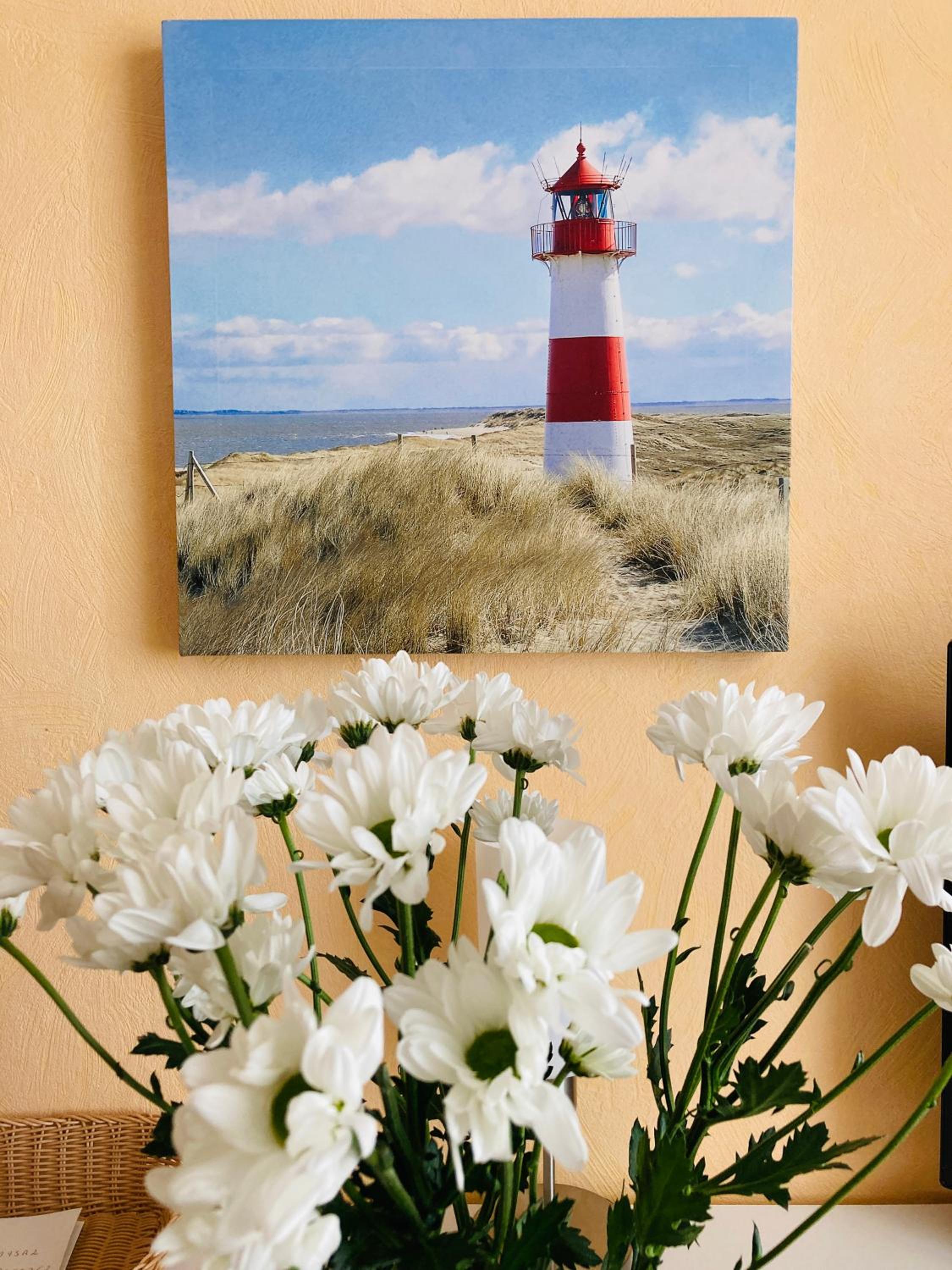 Ferienwohnung Warnowidyll