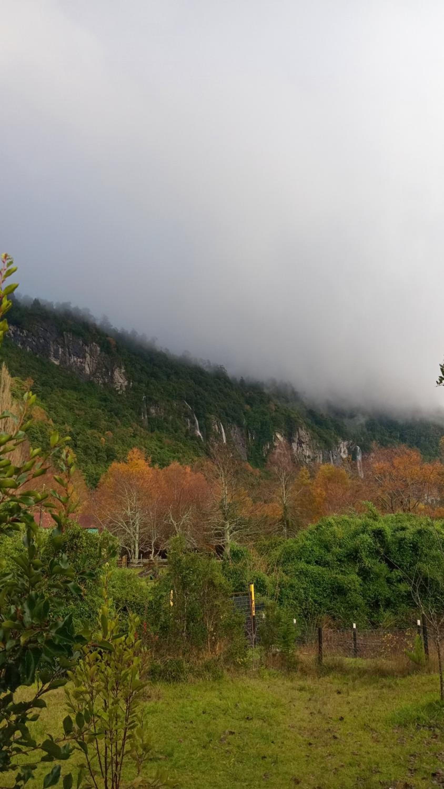 Cabaña Nubes del Ranco