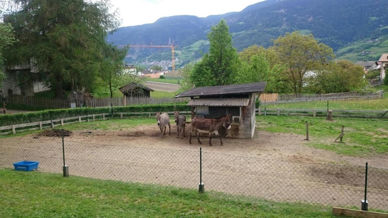 Dillerhof