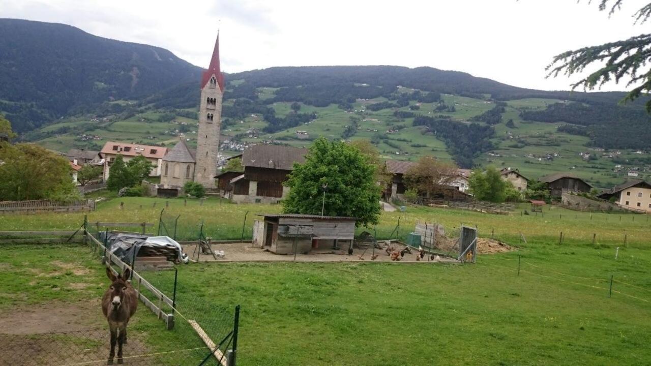 Dillerhof