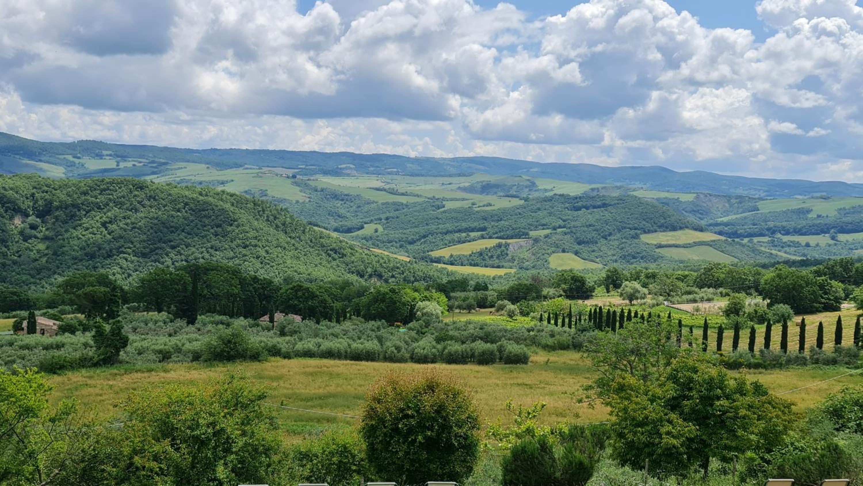 Podere Colombaio - Verbena