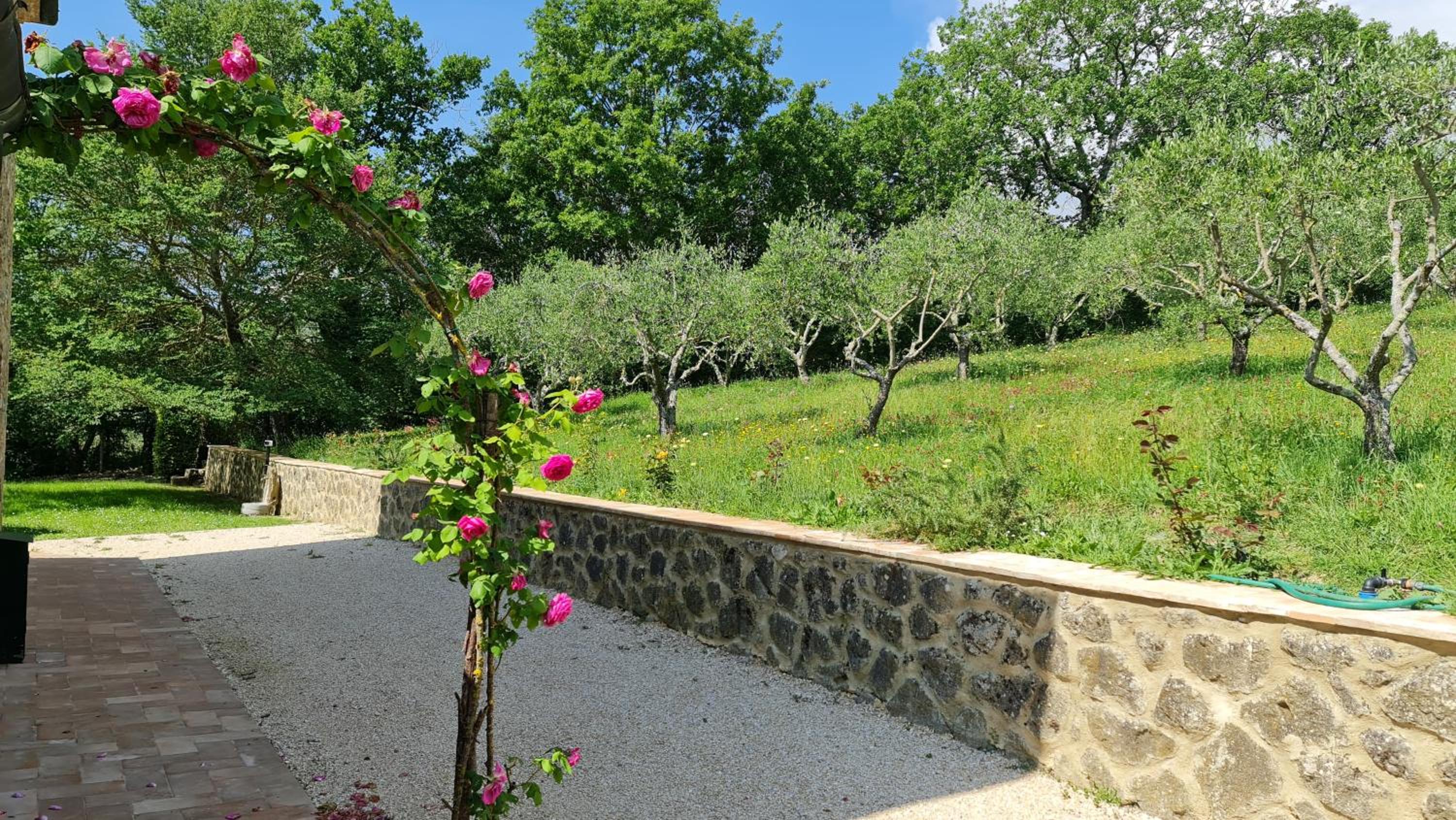 Podere Colombaio - Verbena