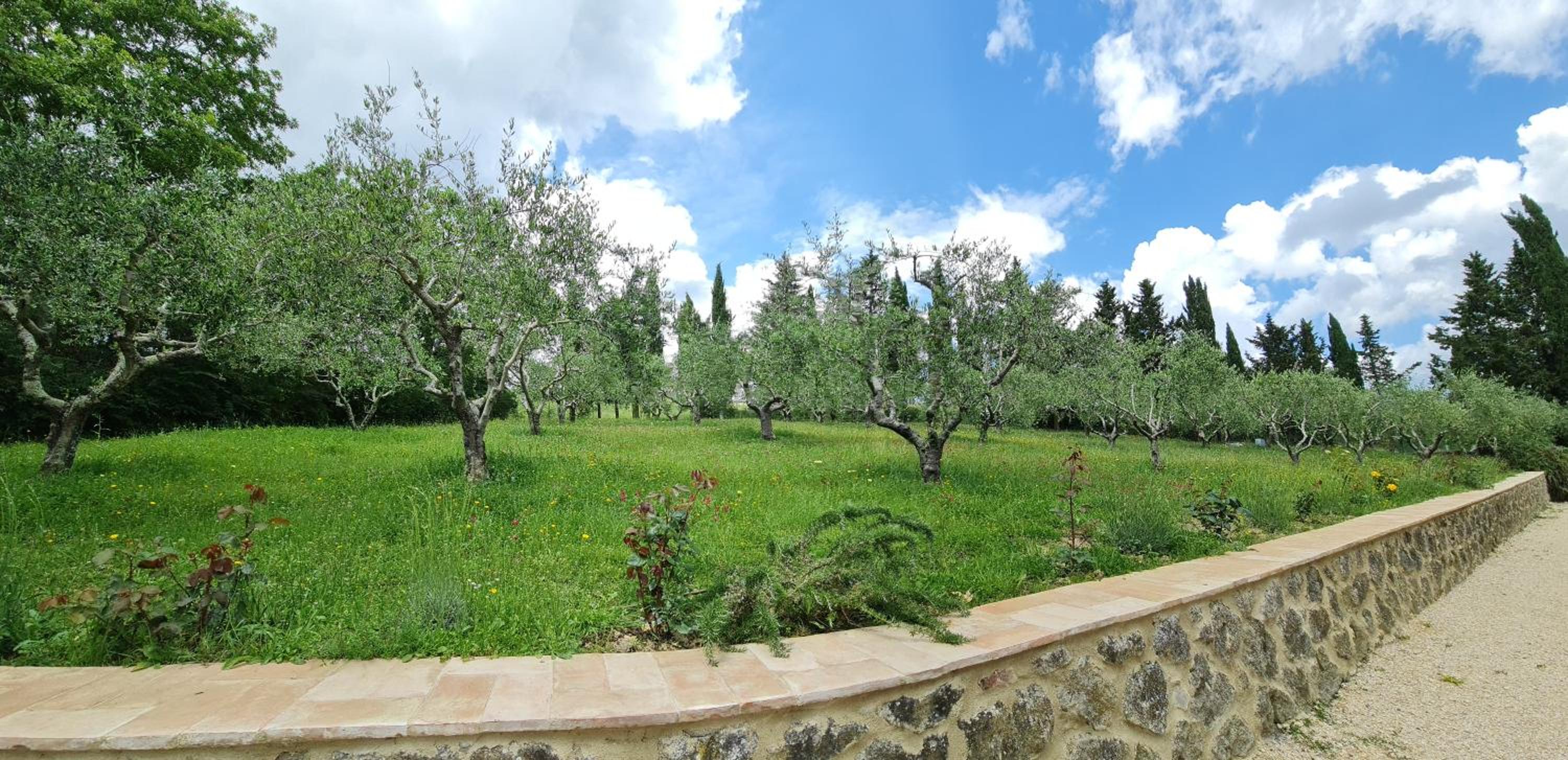 Podere Colombaio - Verbena