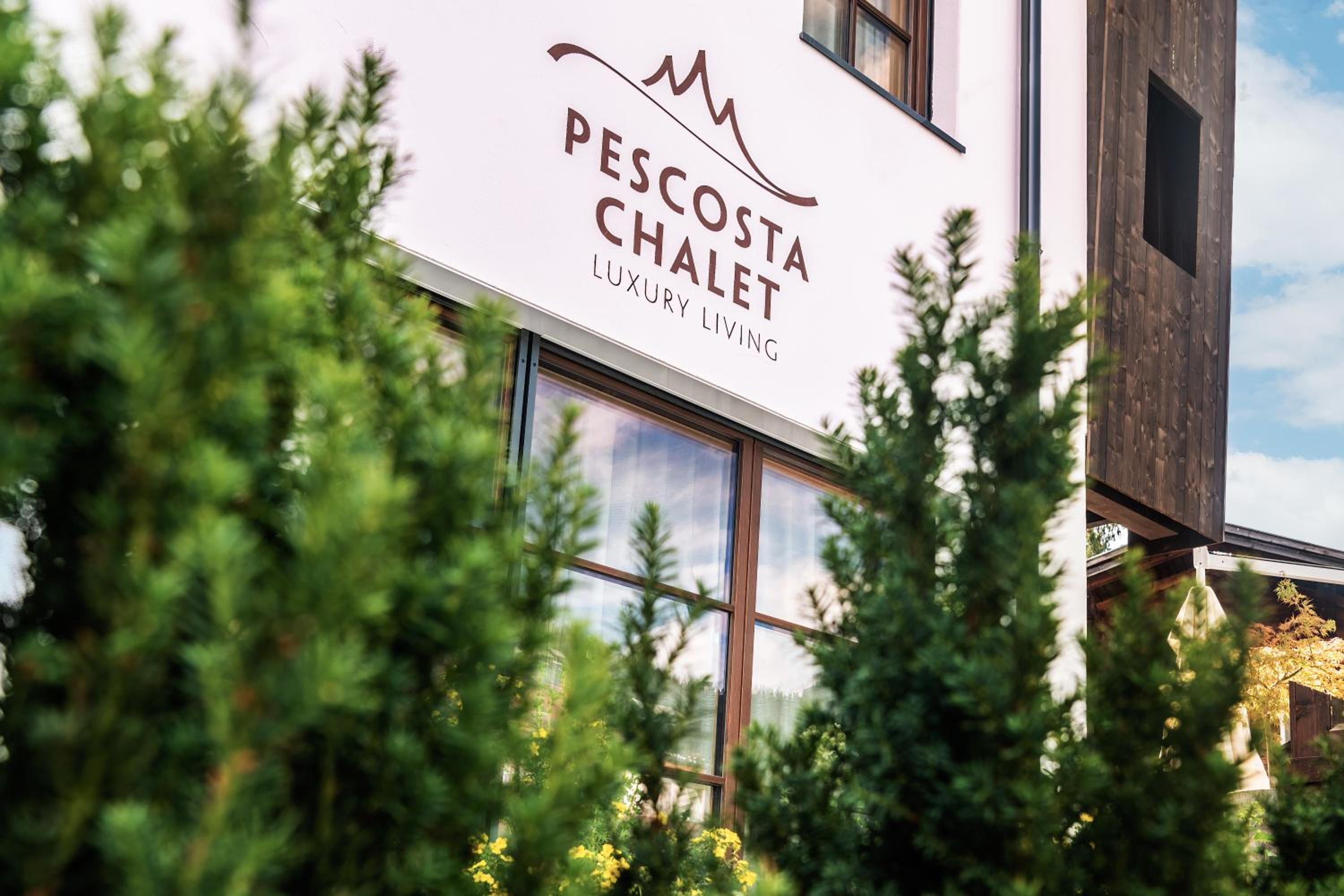 Pescosta Chalet Luxury Living view 3