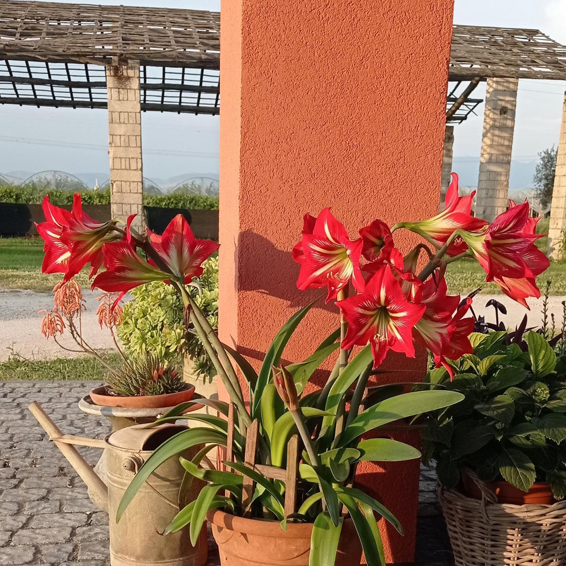 Il Casale di Giulia di Aprilia view 5