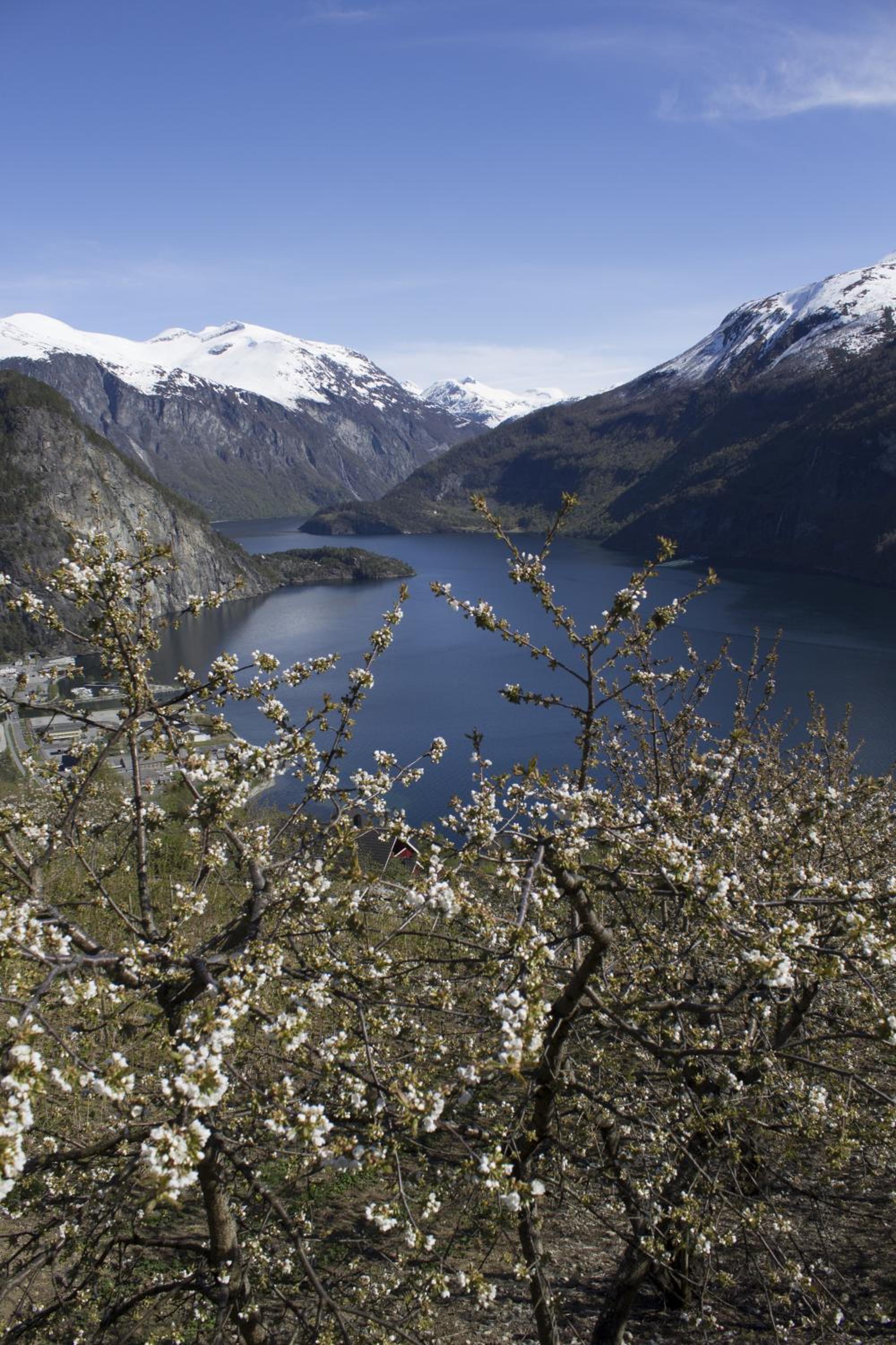 Valldal Camping