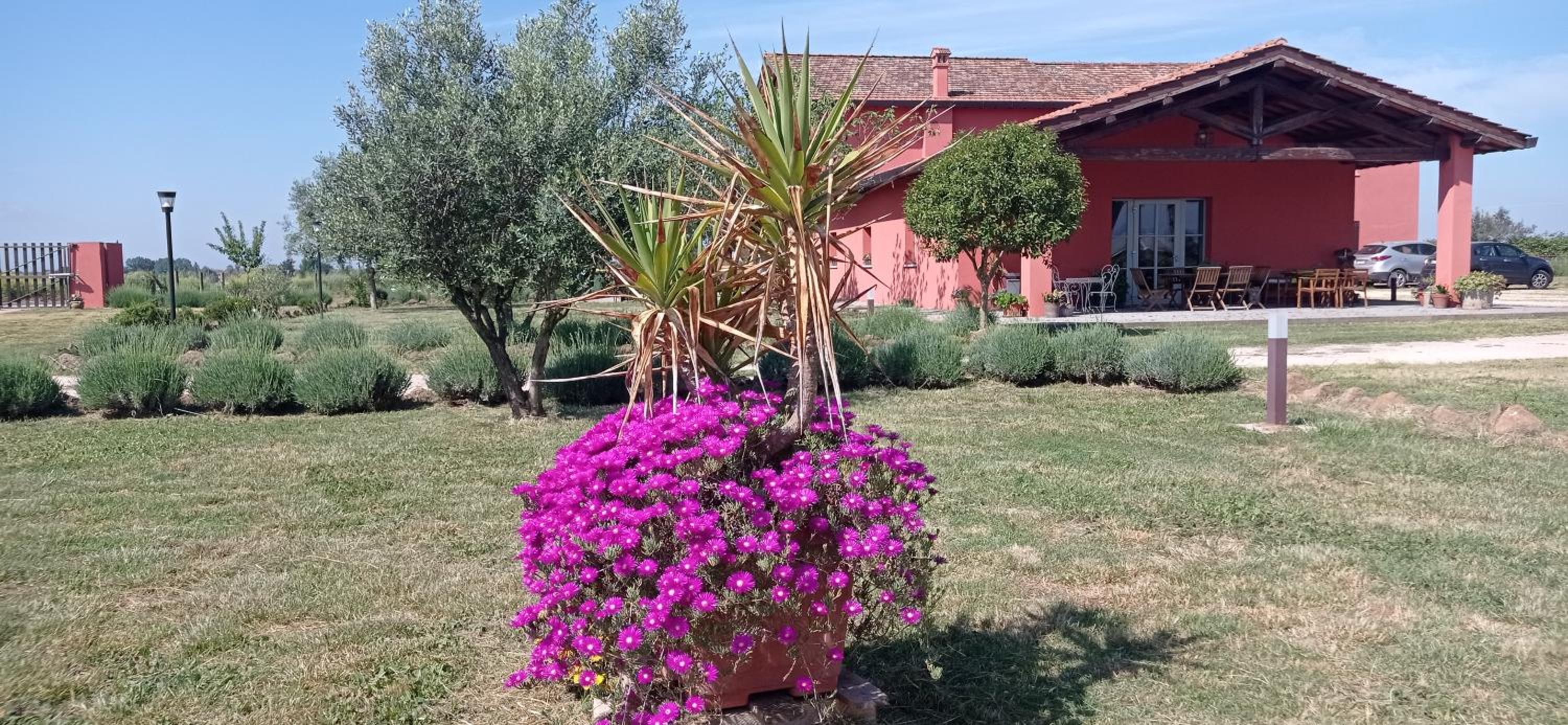Il Casale di Giulia di Aprilia view 3