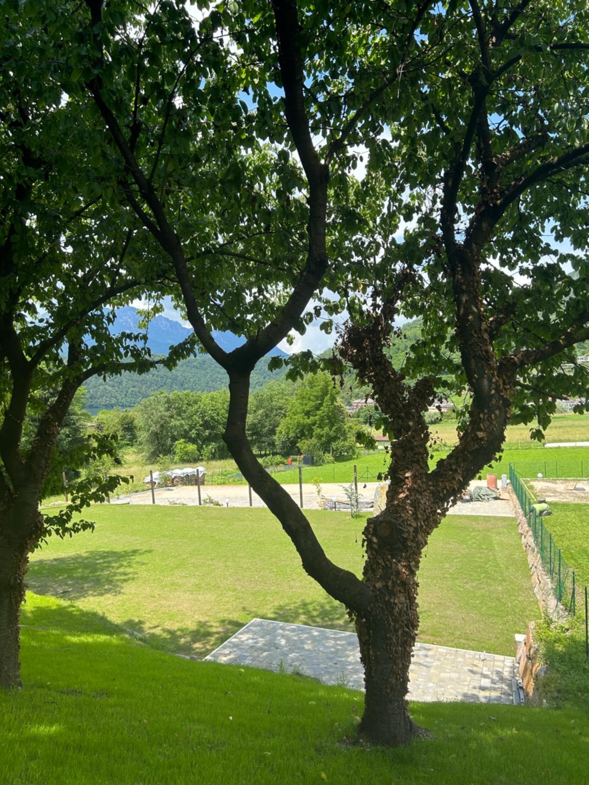 Photo 46