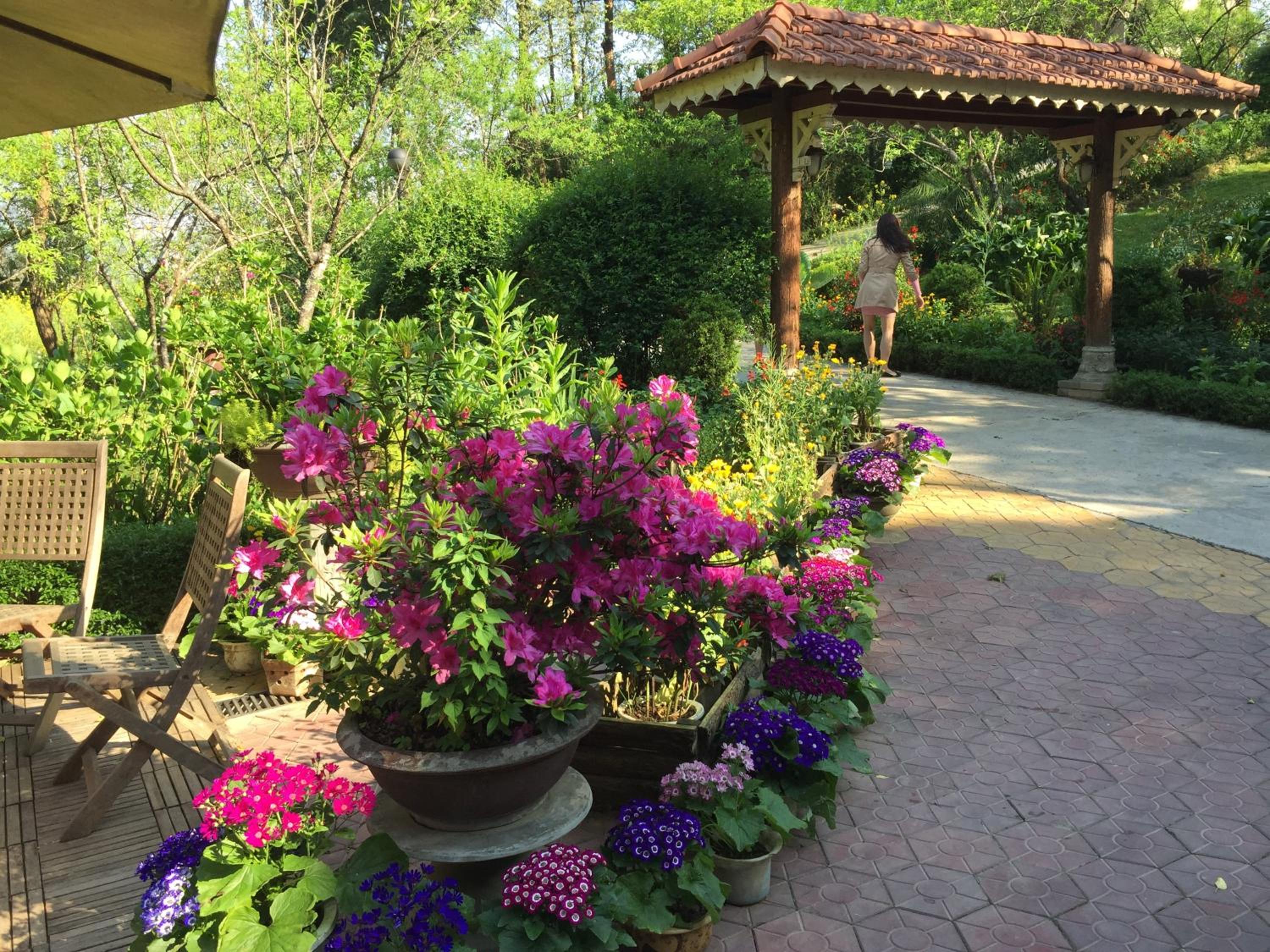 Sapa Garden Bed and Breakfast