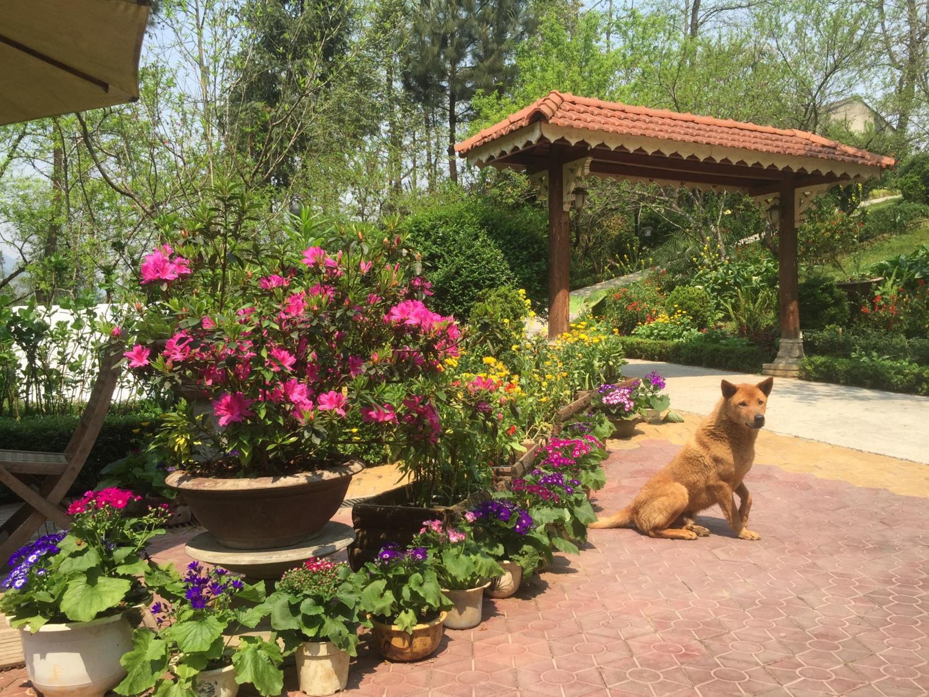 Sapa Garden Bed and Breakfast