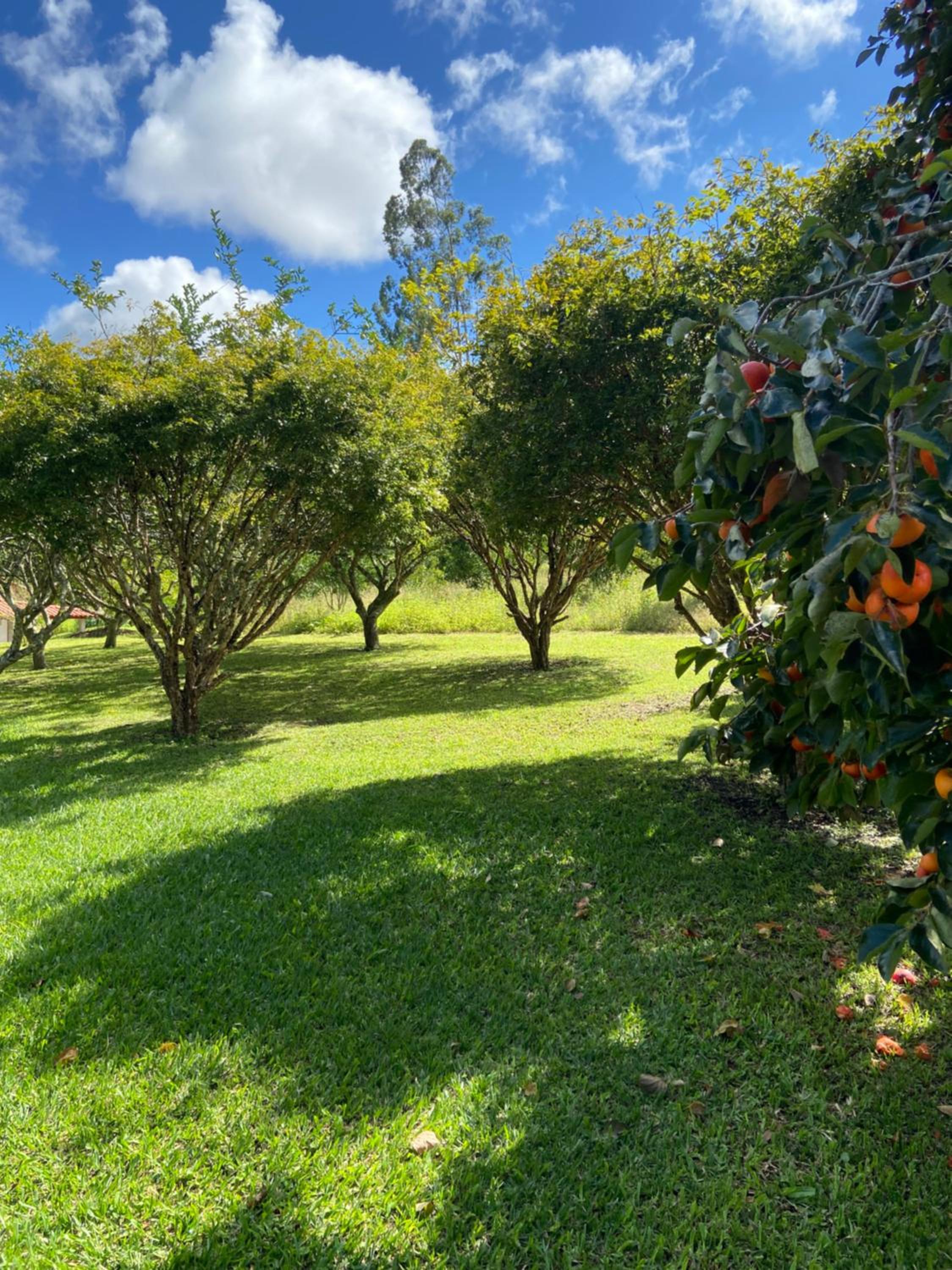 Refúgio em Venda Nova