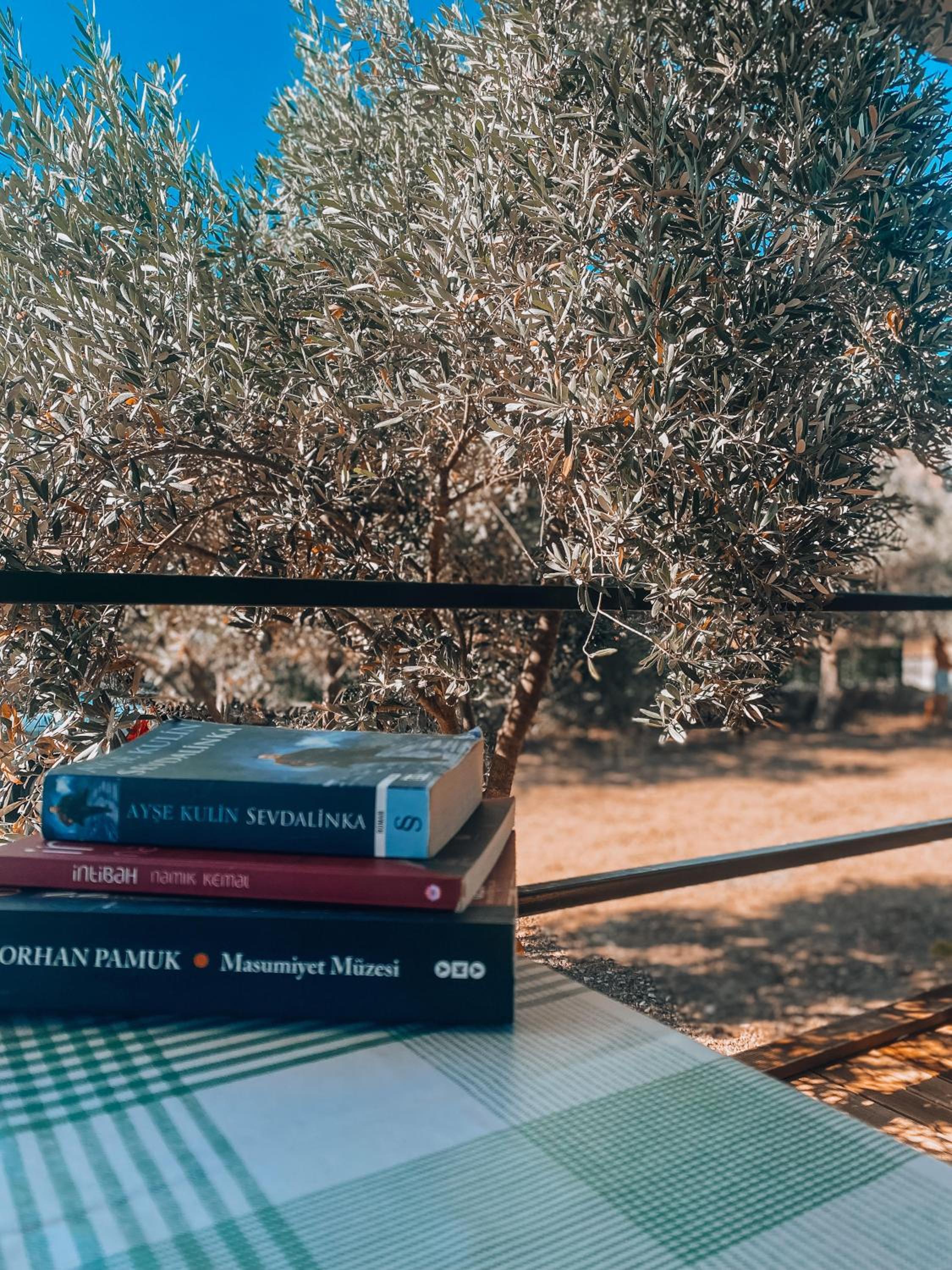 Söğüt Tinyhouse & Glamping