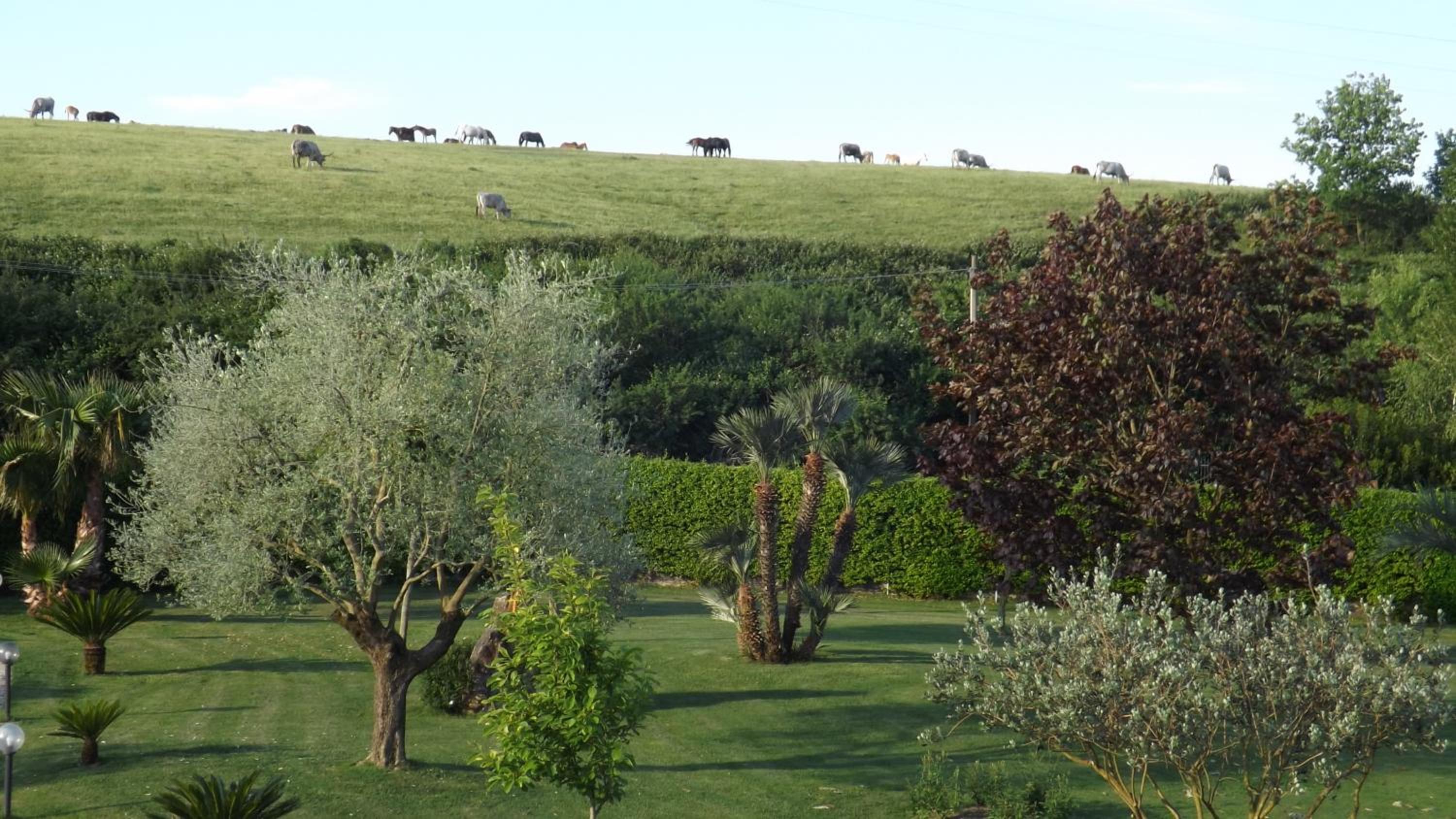 Villa la casa di Siro