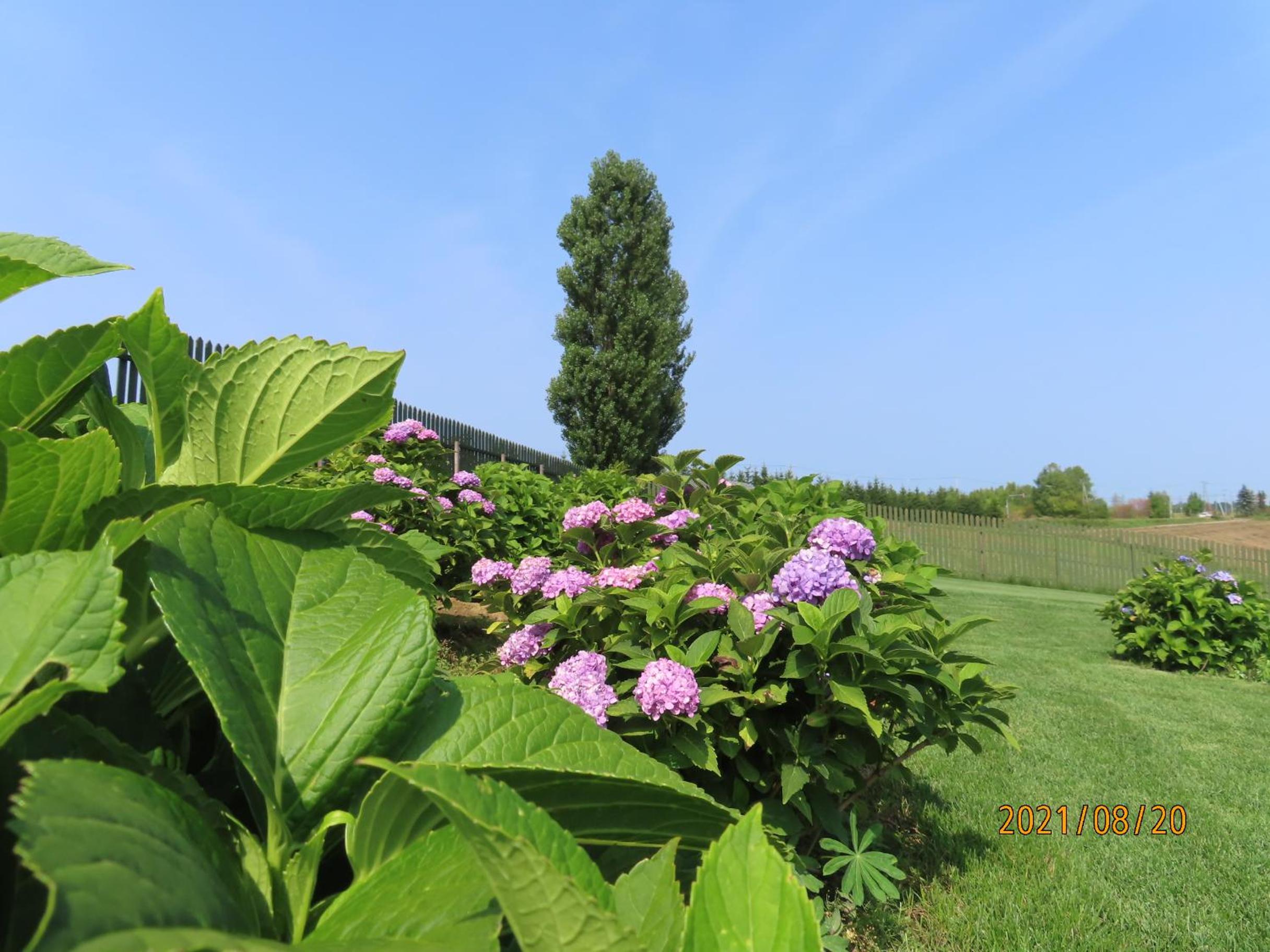 B&B Ken&Mary