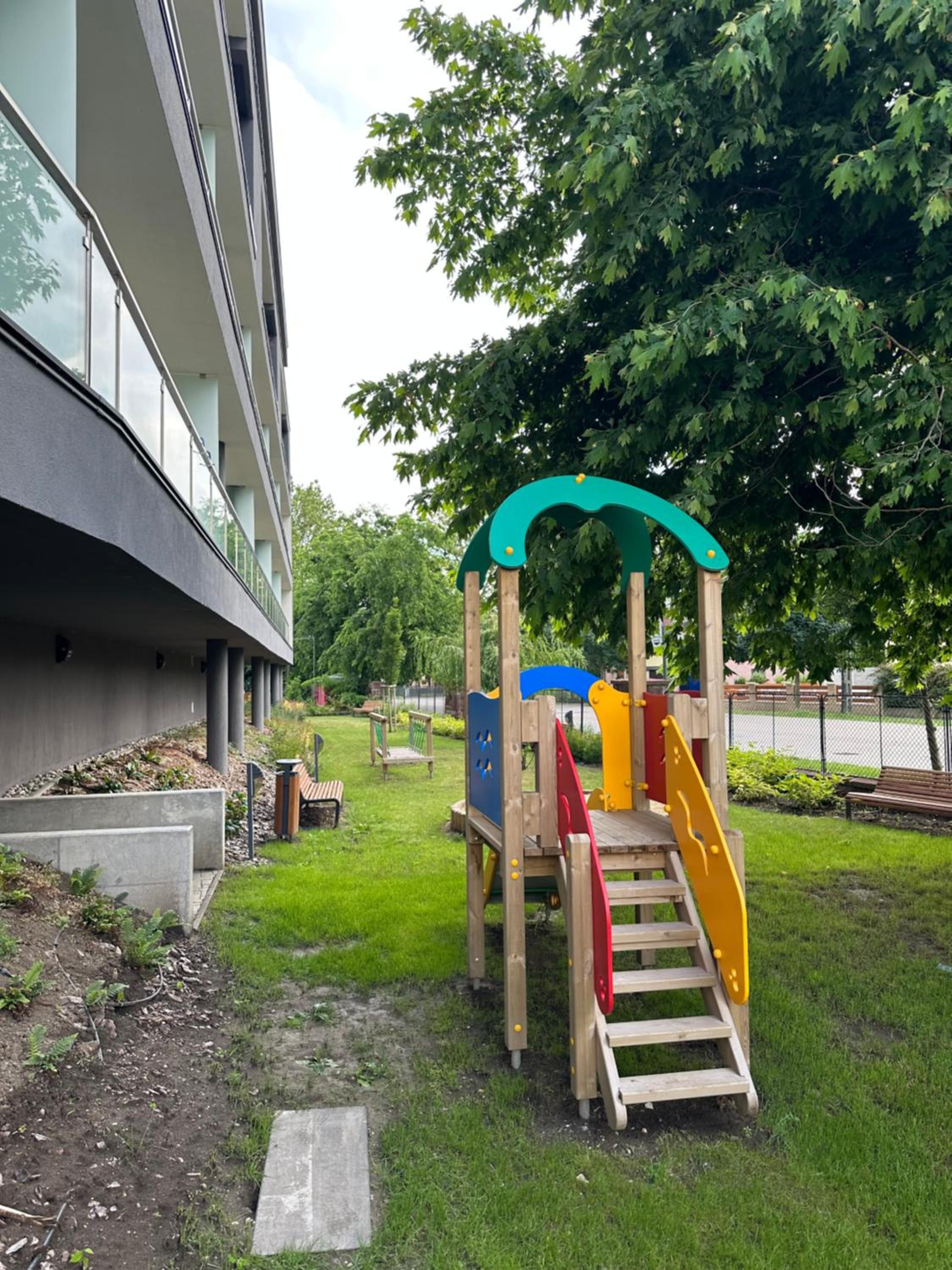 Photo 11