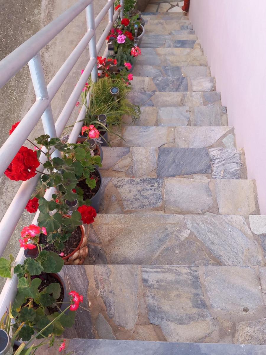 Photo 73