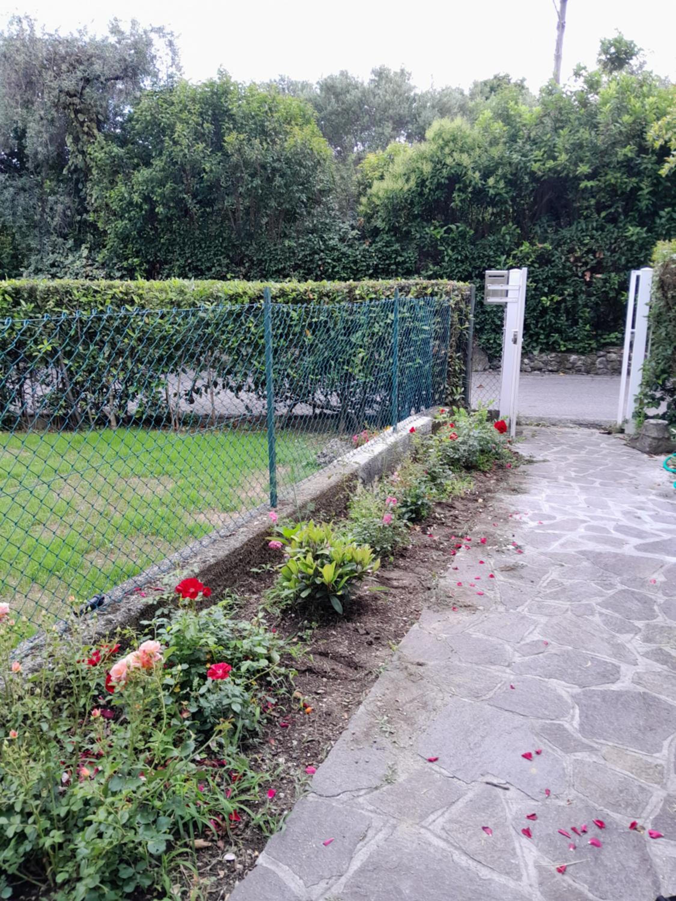 villetta le palme view 2