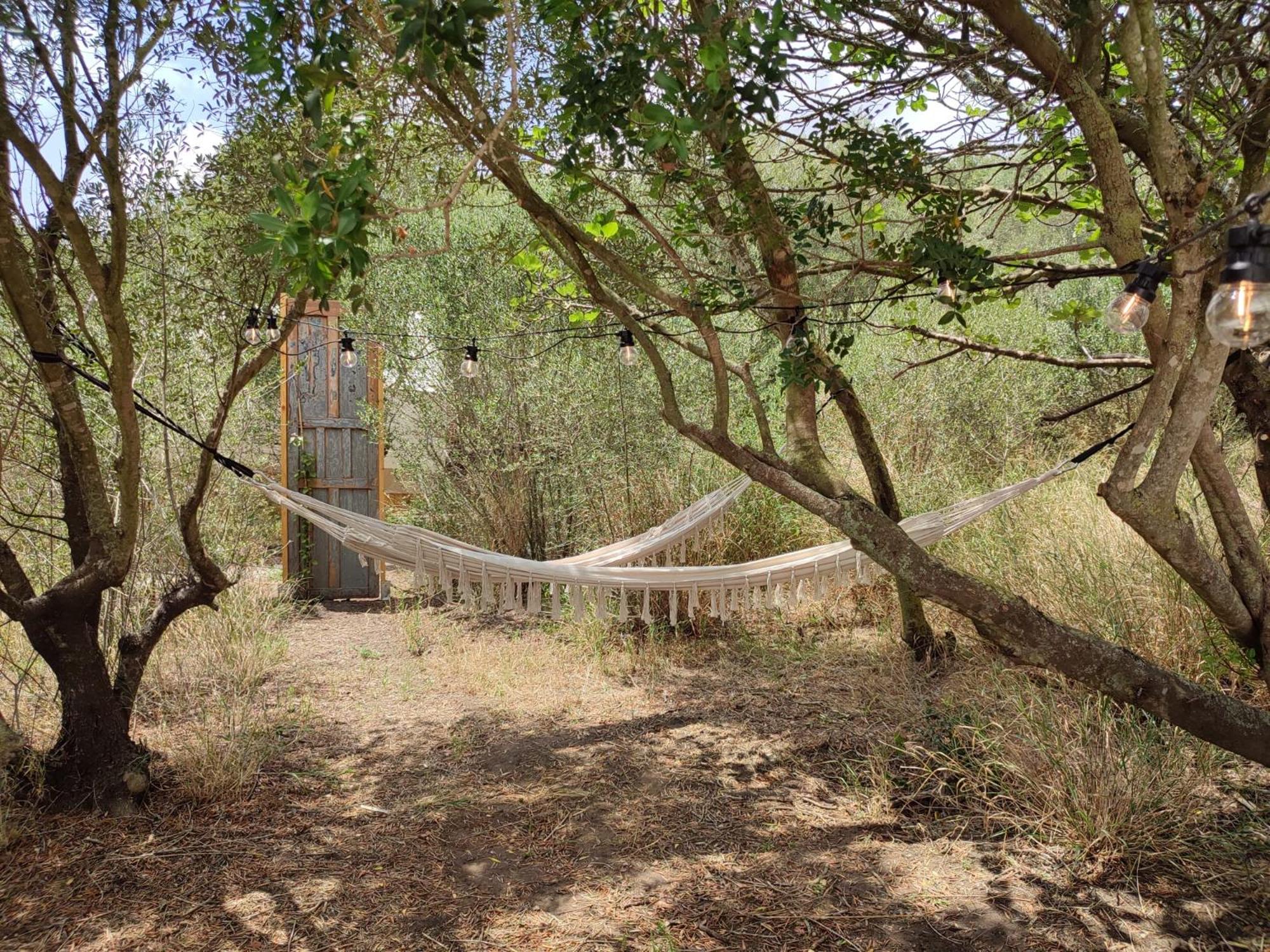 Tranquilo Glamping