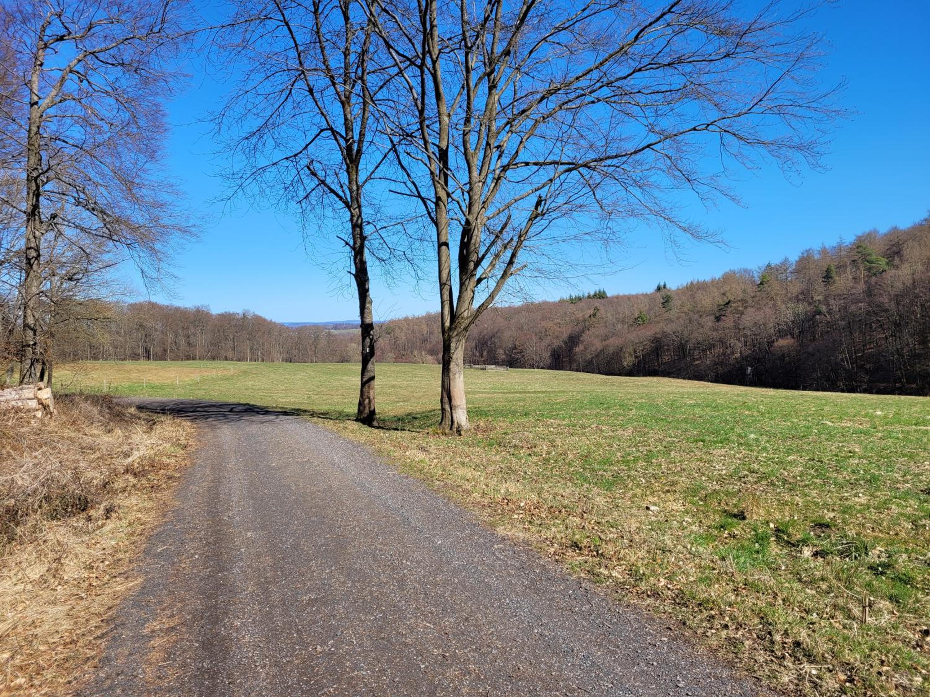 Auf der Heide