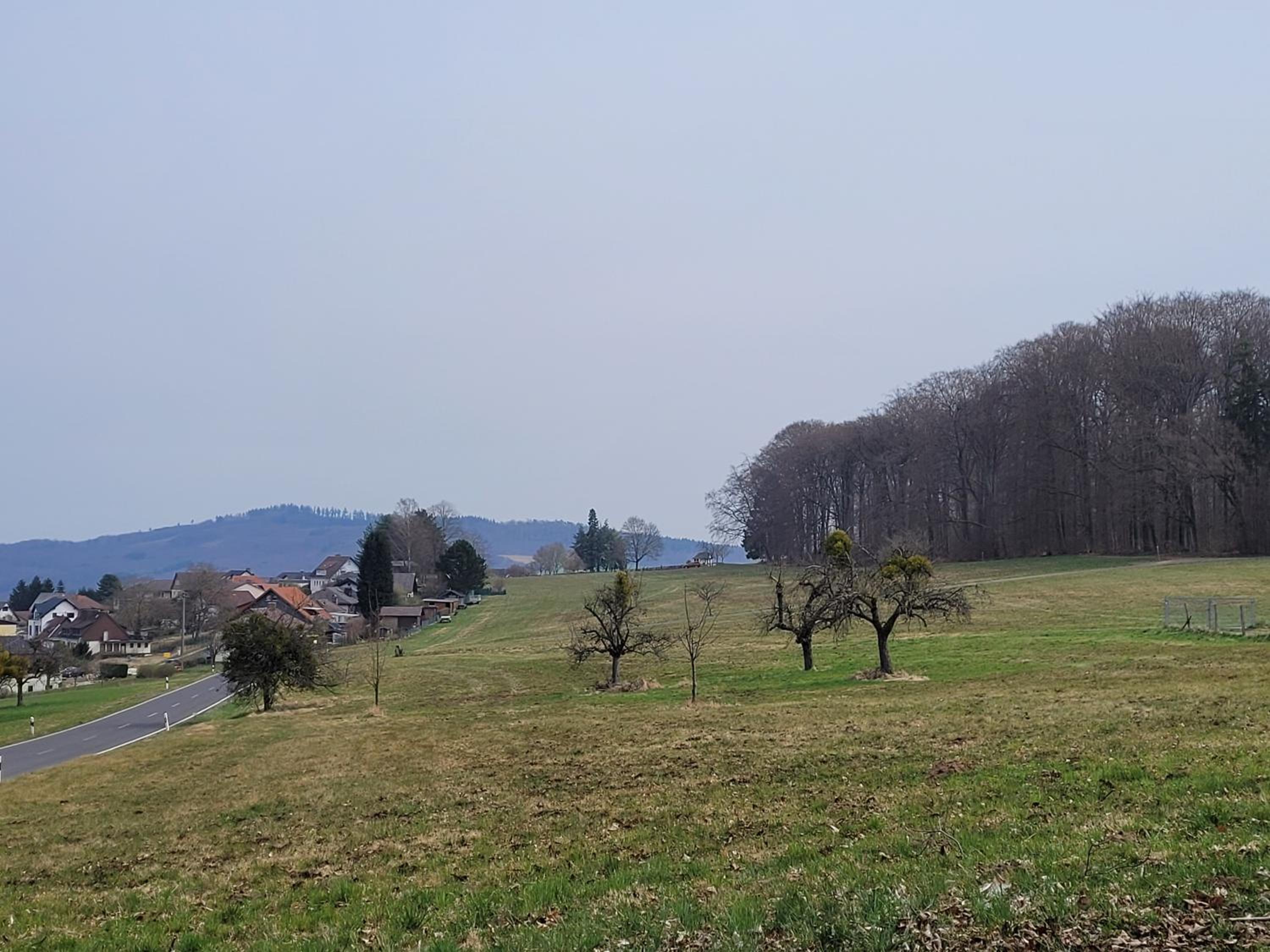 Auf der Heide