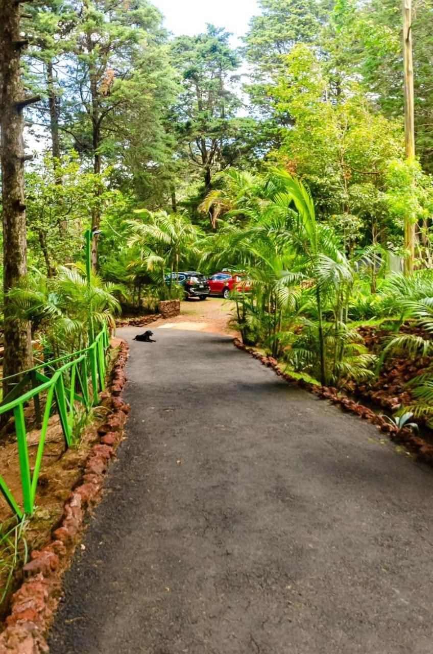 Cabañas Lunas del Poás