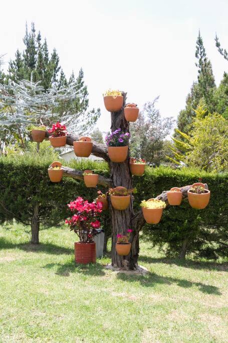 Hermoso Chalet Edelweiss en Guasca