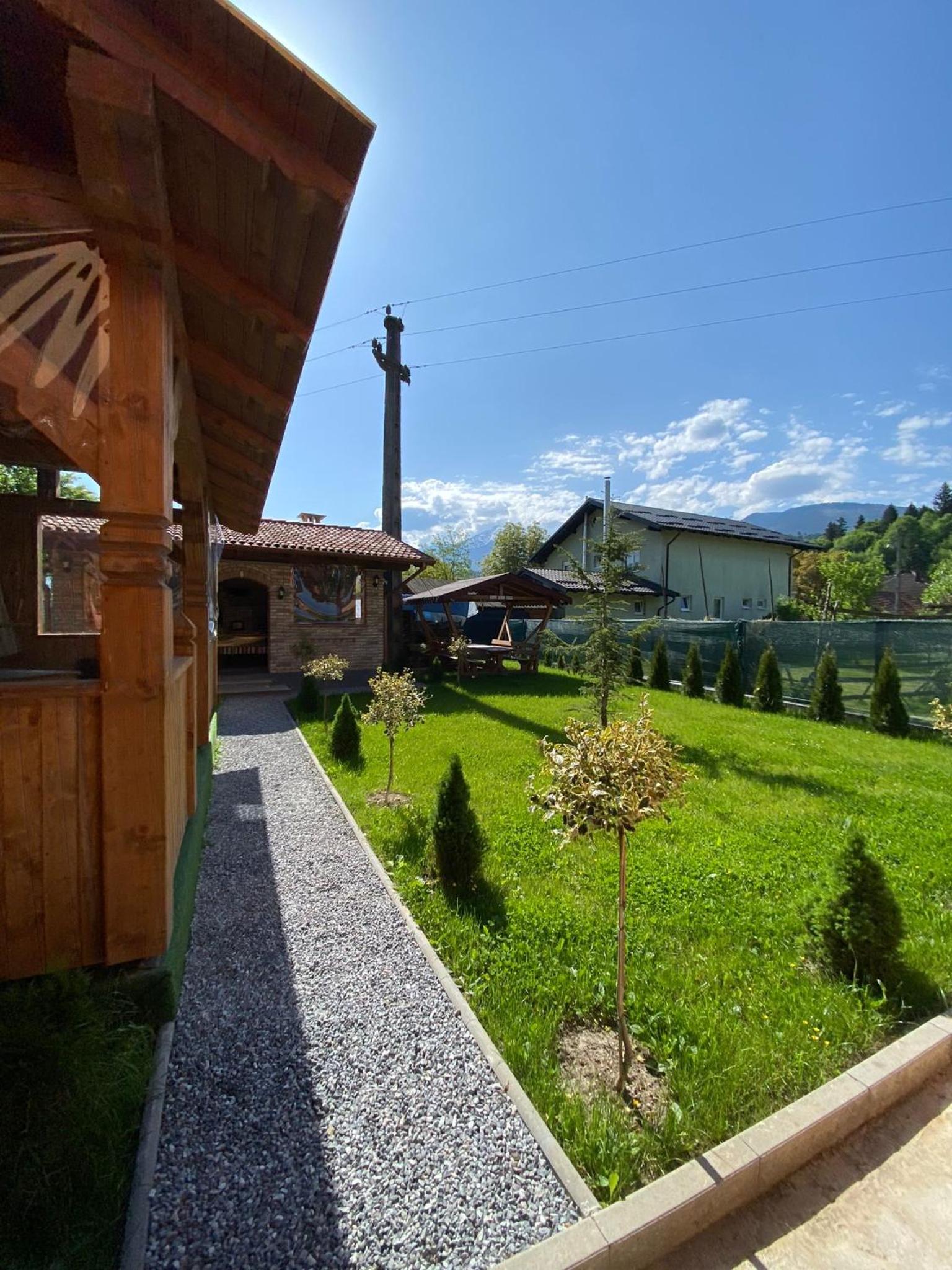 Photo 6