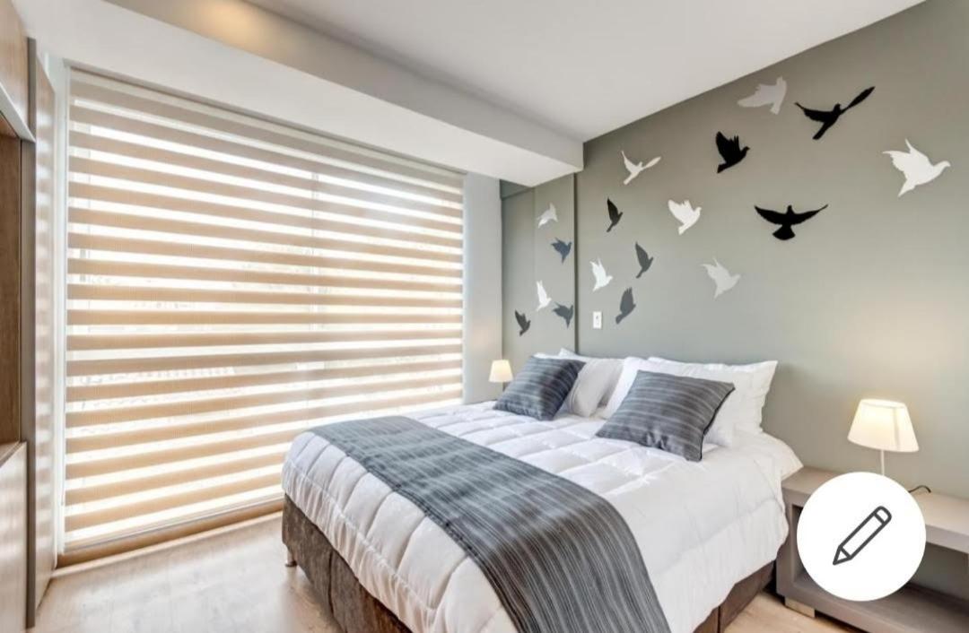Loft Contador
