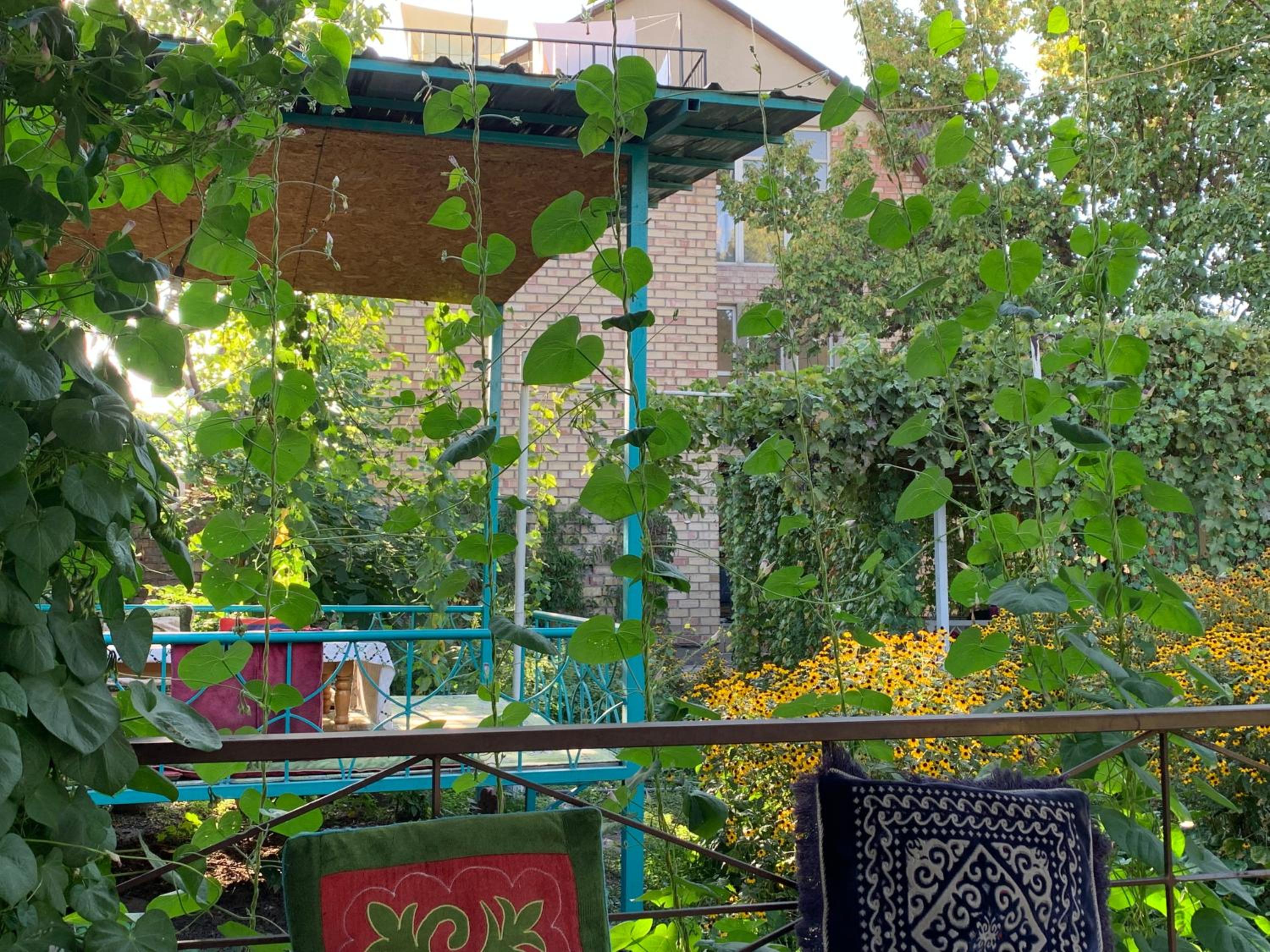 Sakura Guesthouse