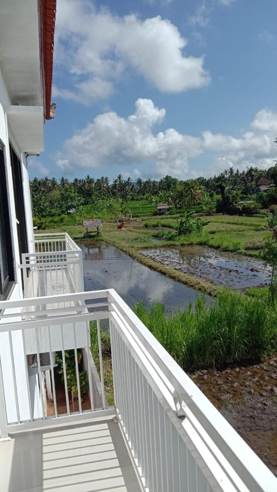Limun guesthouse
