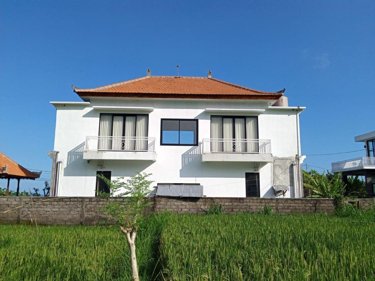 Limun guesthouse