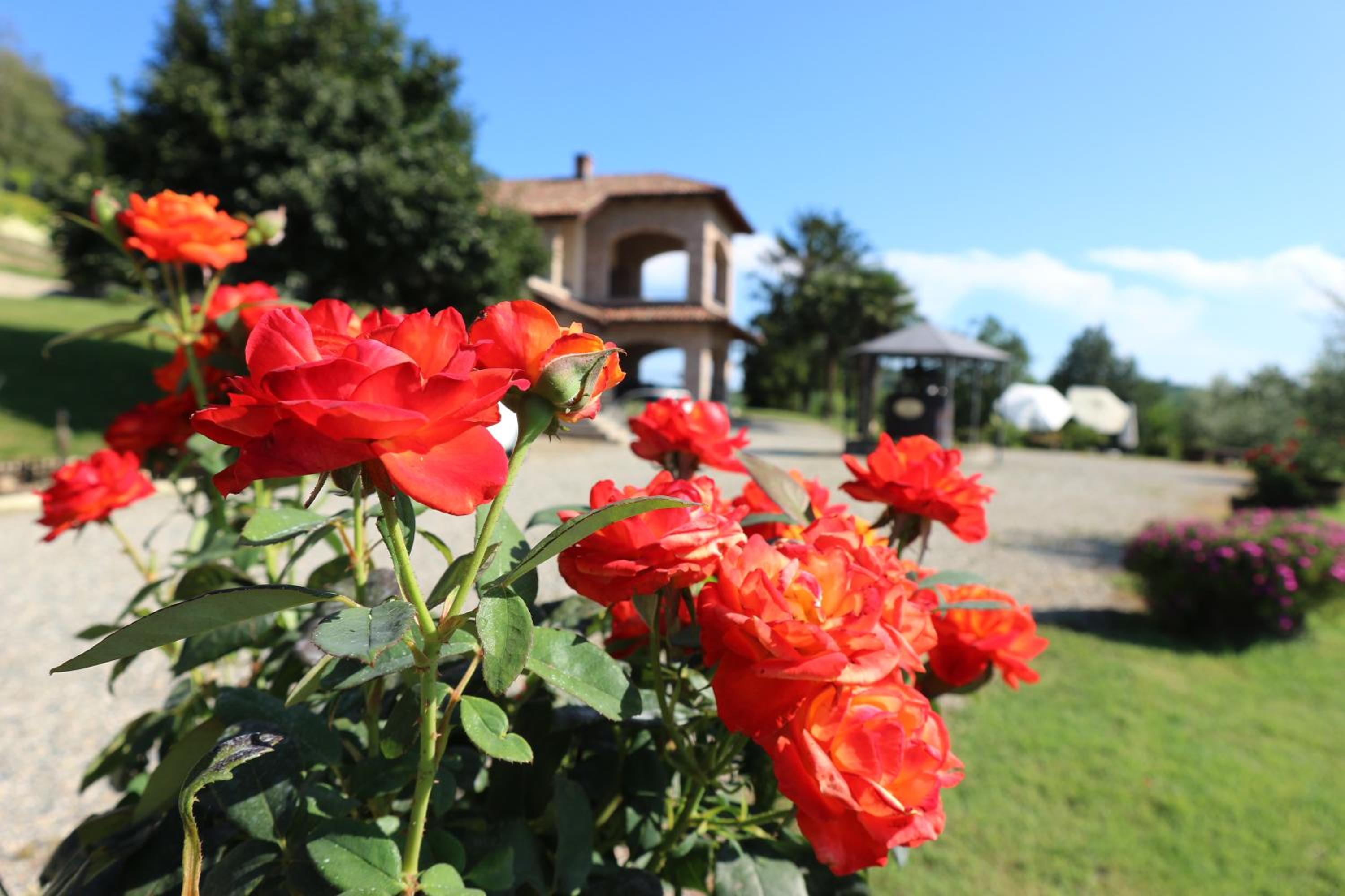 LA CASA IN CAMPAGNA