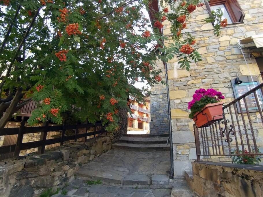 Apartamento con vistas Taull