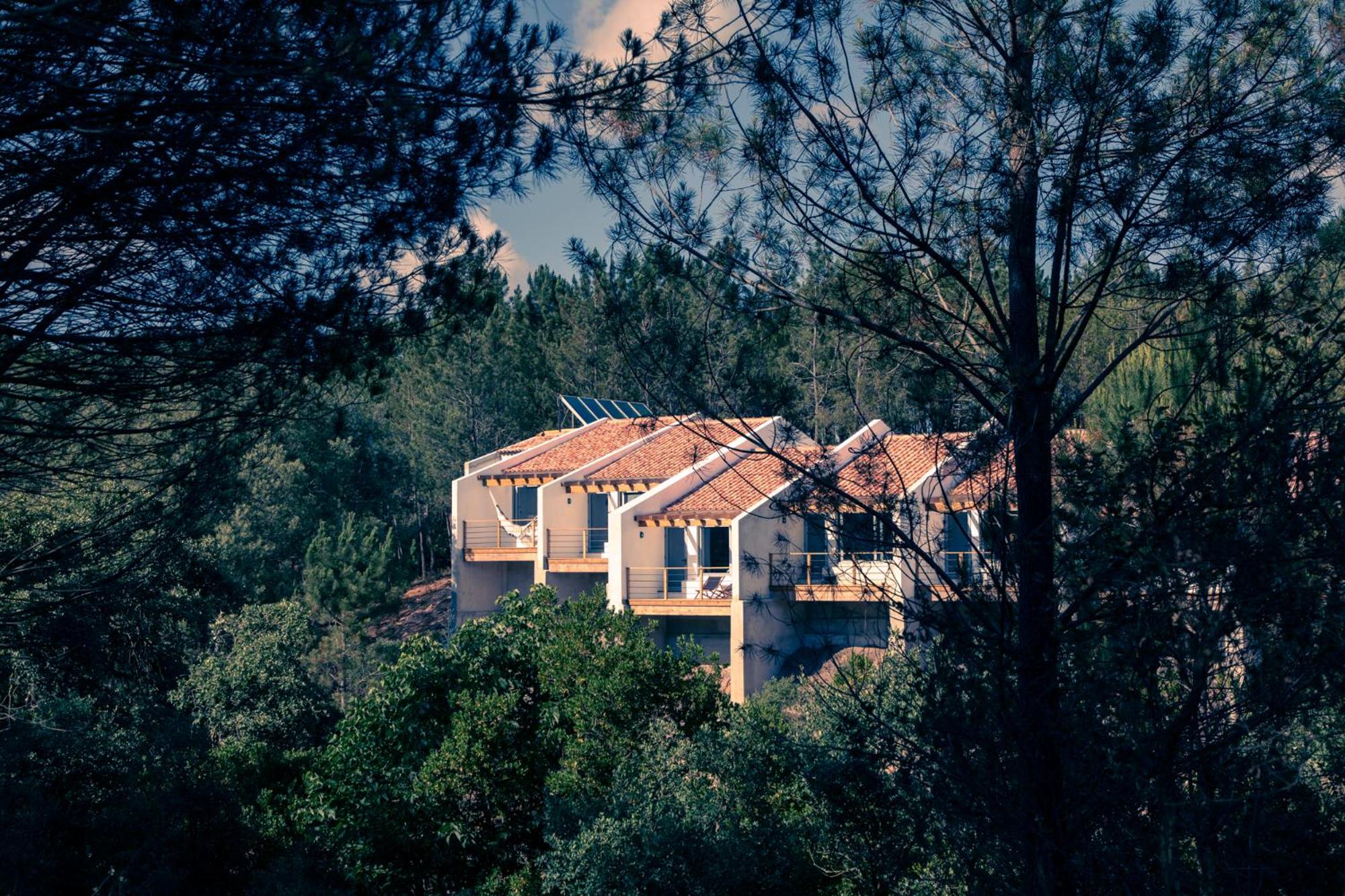Quinta Camarena