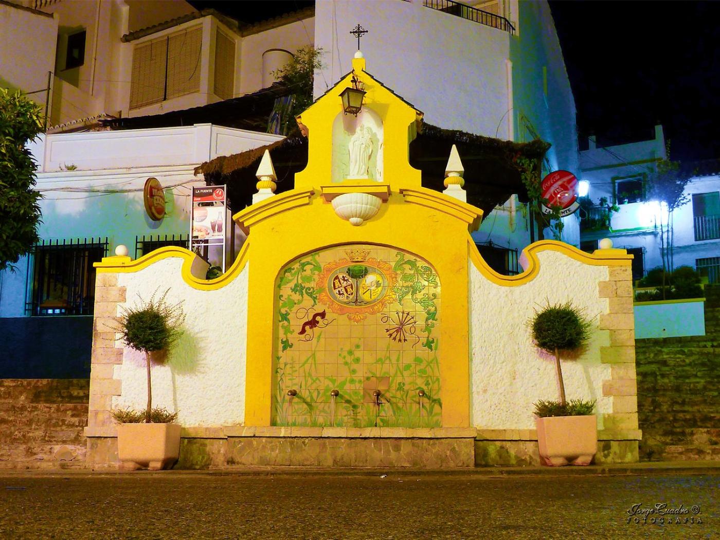 Photo 44