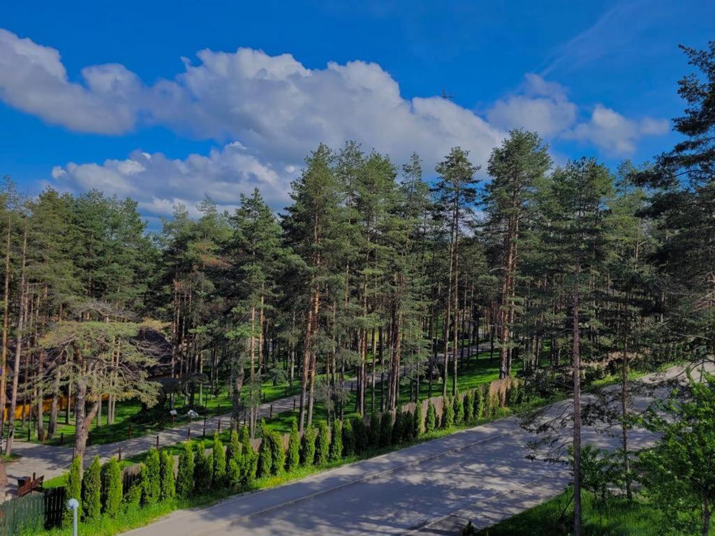 Zlatibor apartman Natalija view 4
