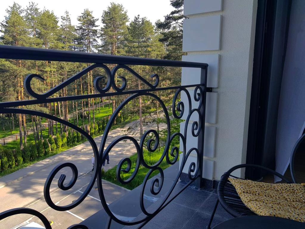 Zlatibor apartman Natalija view 5