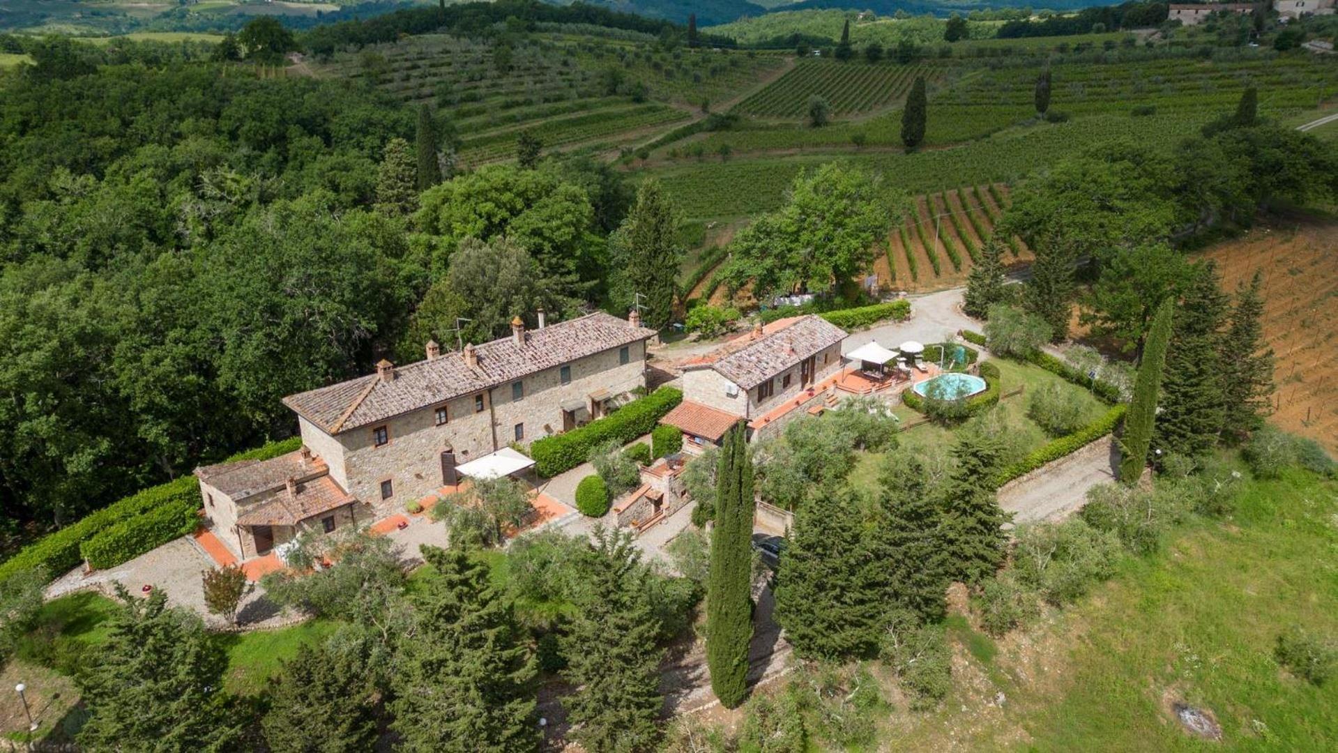 Sangiovese all'Aia view 5