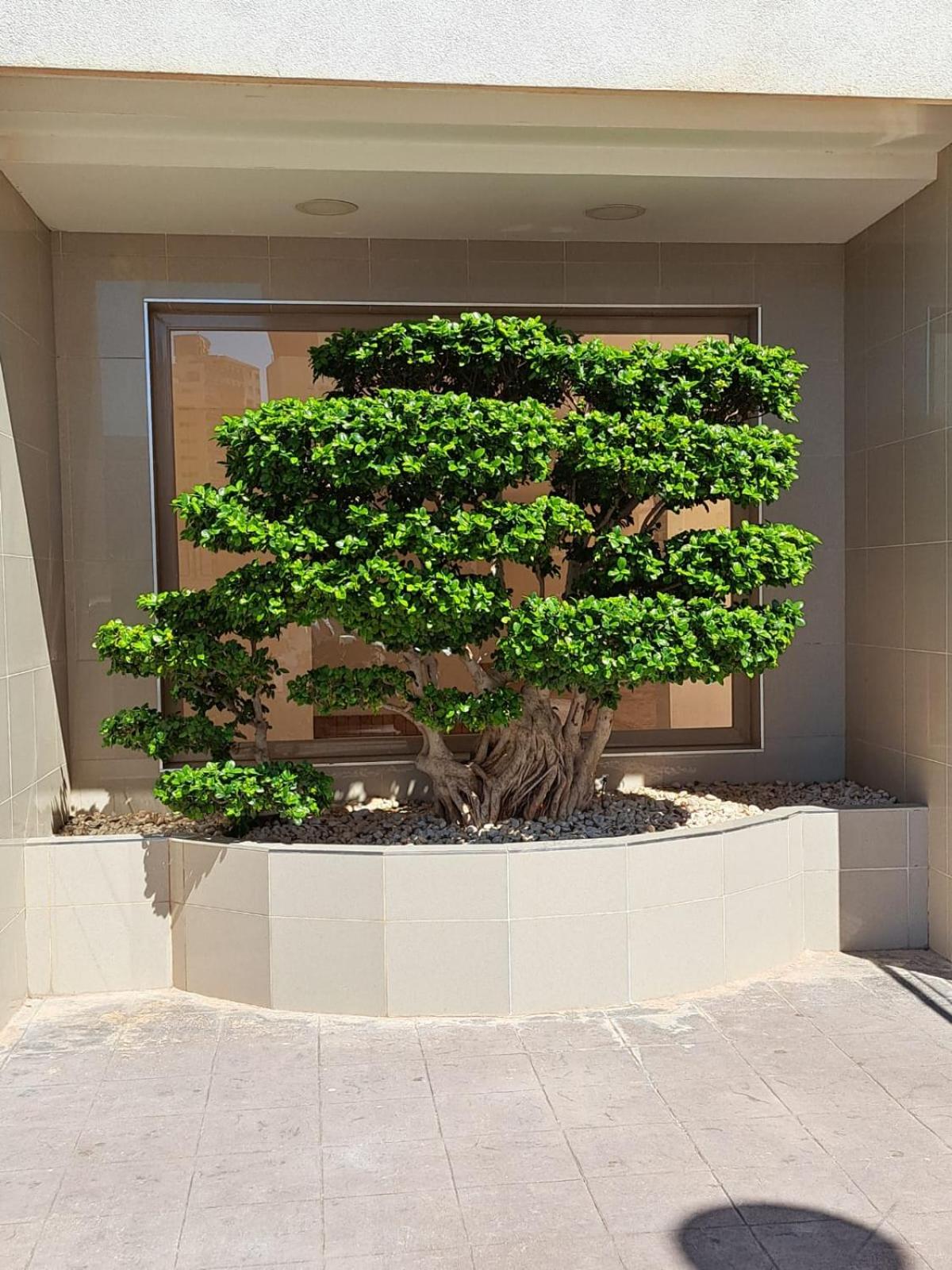Esmeralda Seaview-Suites