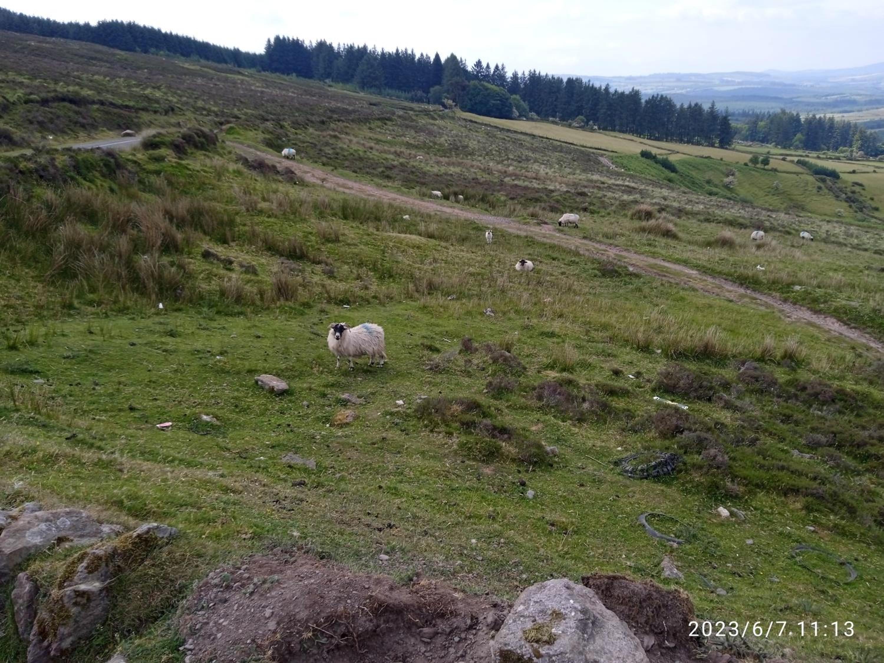 Nire Valley Cottage