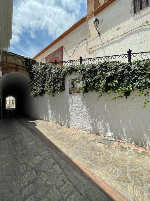 Casa LA ROMANA